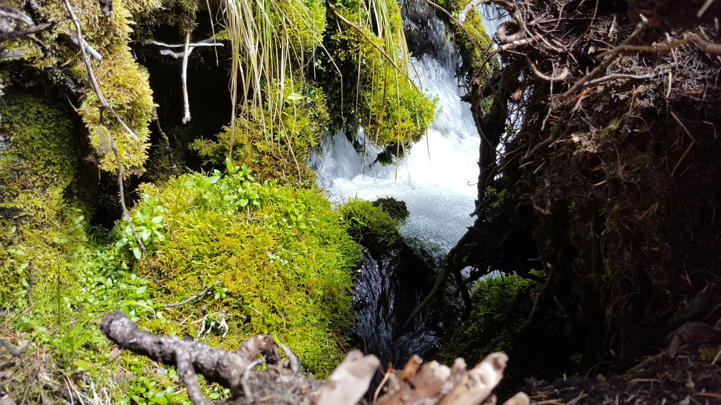 20180520_135306.jpg