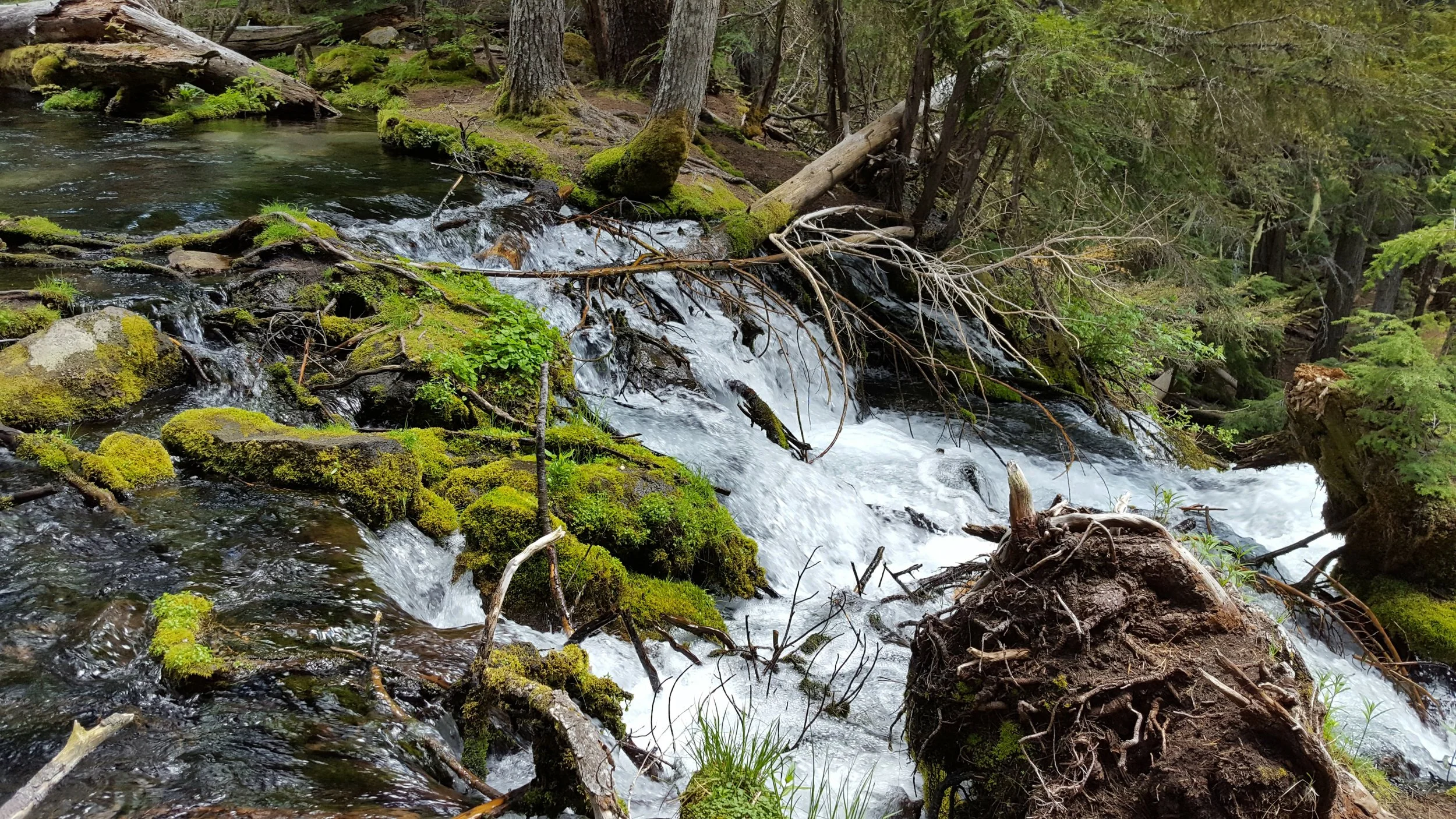 20180520_135140.jpg