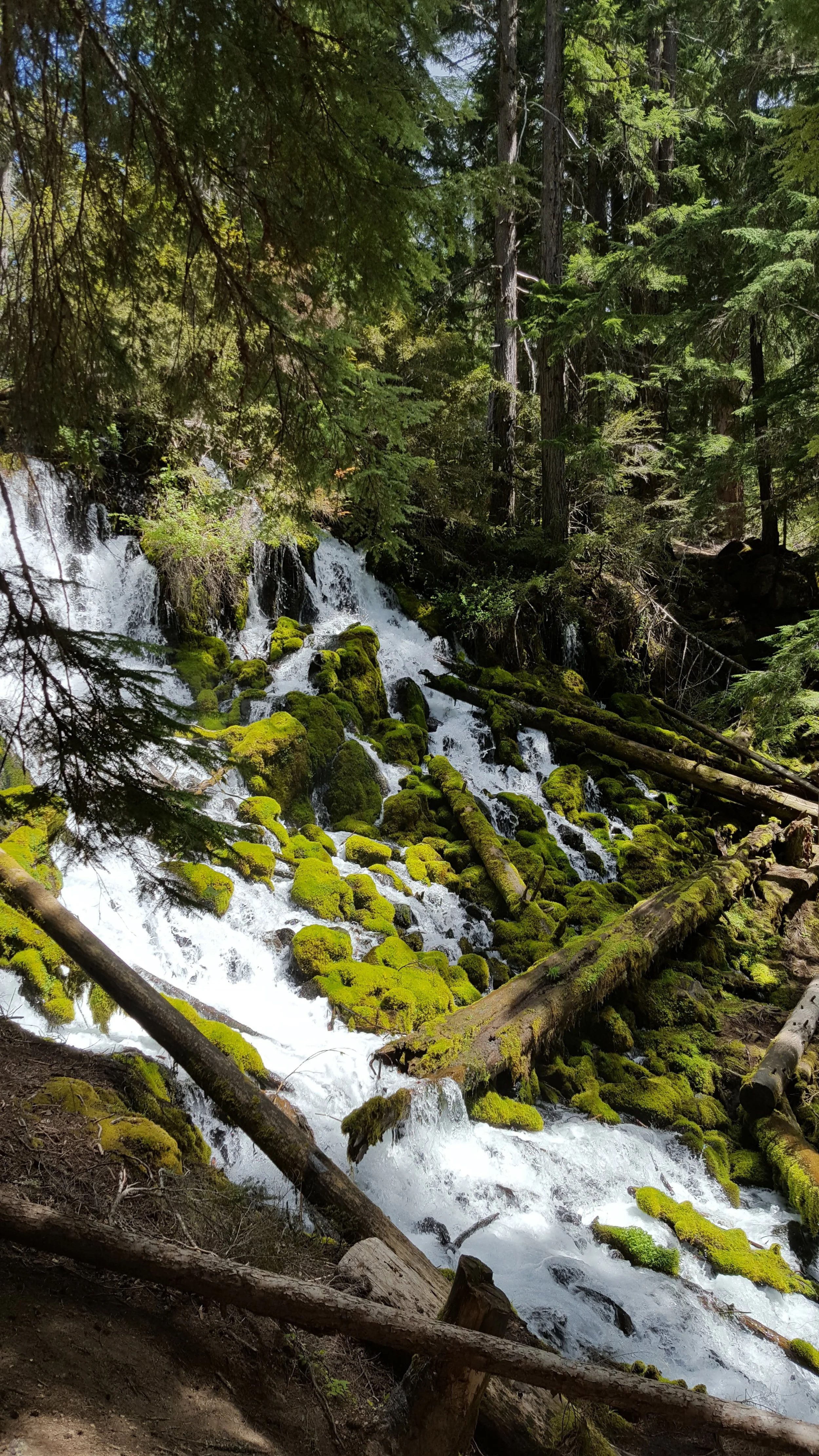 20180520_135823.jpg