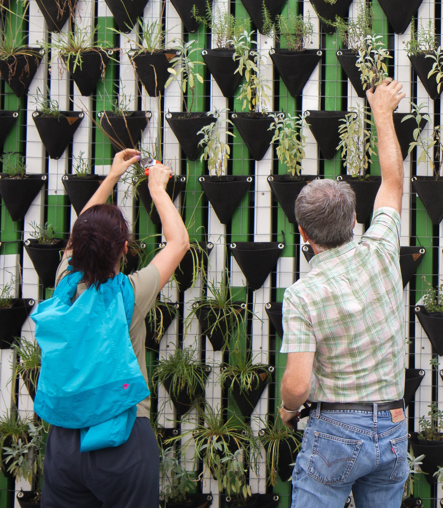 EARTH DAY PLANT A VERTICAL GARDEN AT THE MEDFORD LIBRARY