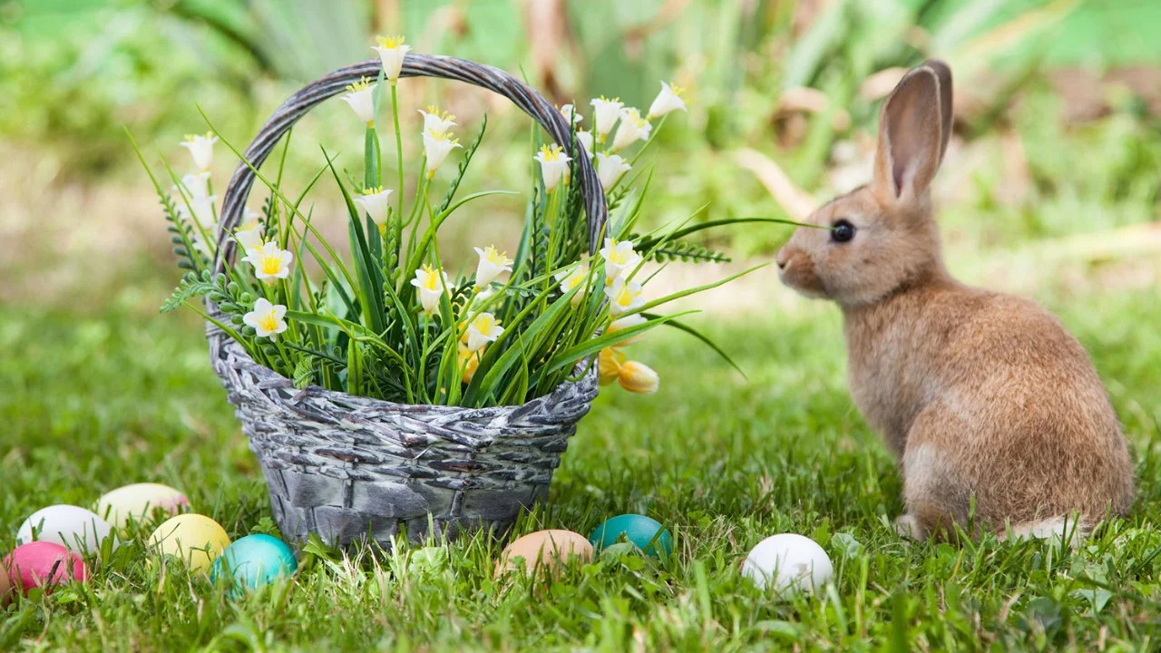 Dunbar Farms Easter Egg Hunt