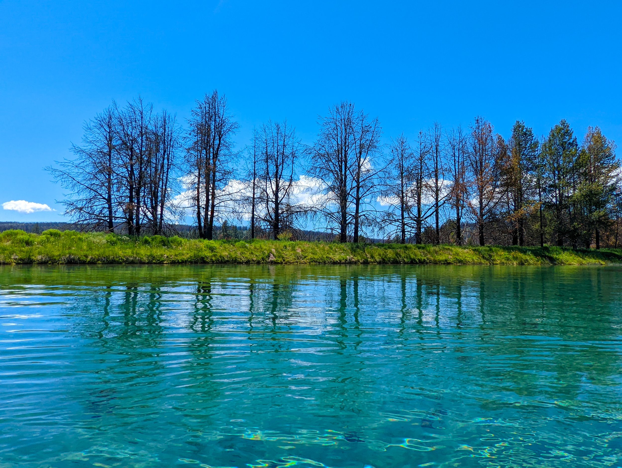 Paddling Spring Creek in Chiloquin - Klamath Falls - What to do in Southern Oregon - travel