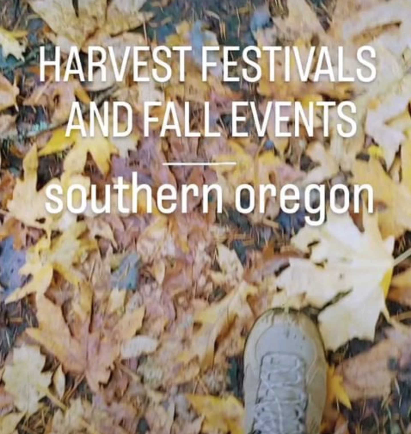 Harvest Festivals and Events