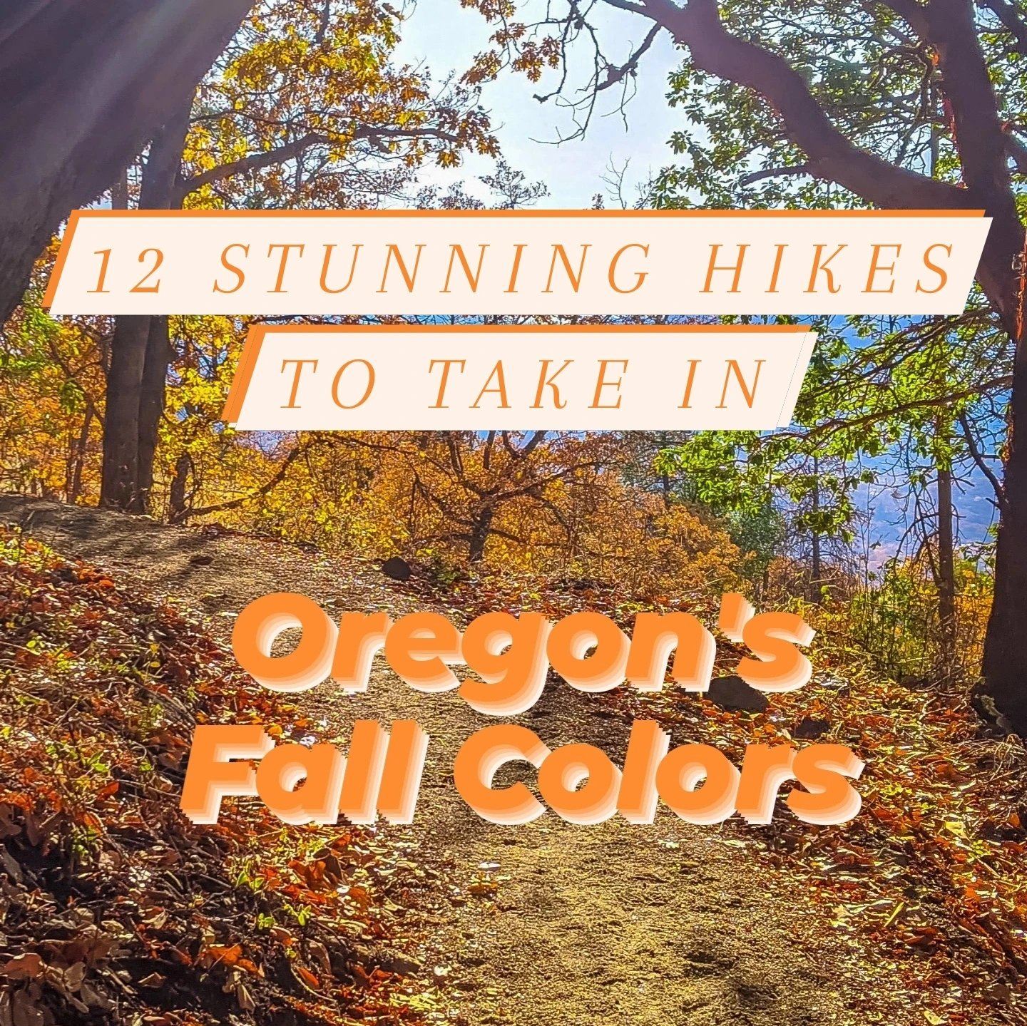 12 Stunning Hikes to Take in Oregon's Fall Colors