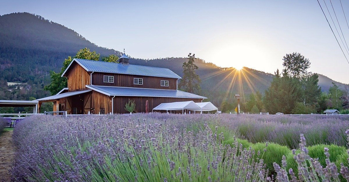 APPLEGATE RIVER LAVENDER FARM