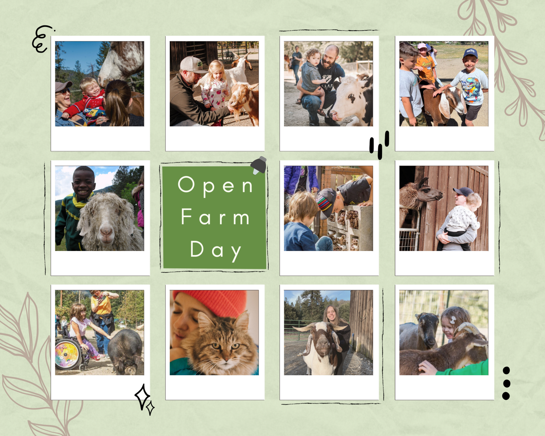 Open Farm Day at Sanctuary One