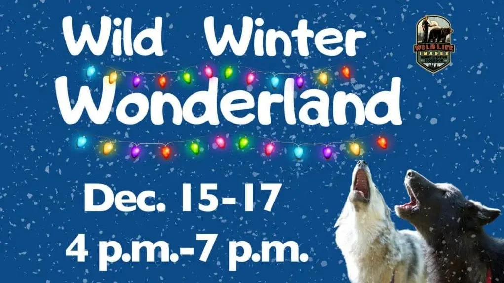 Wild Winter Wonderland at Wildlife Images