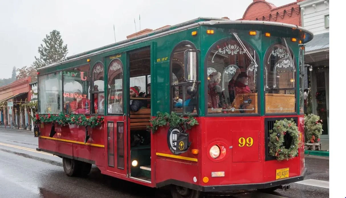 Jacksonville Holiday Trolley Lights Tour