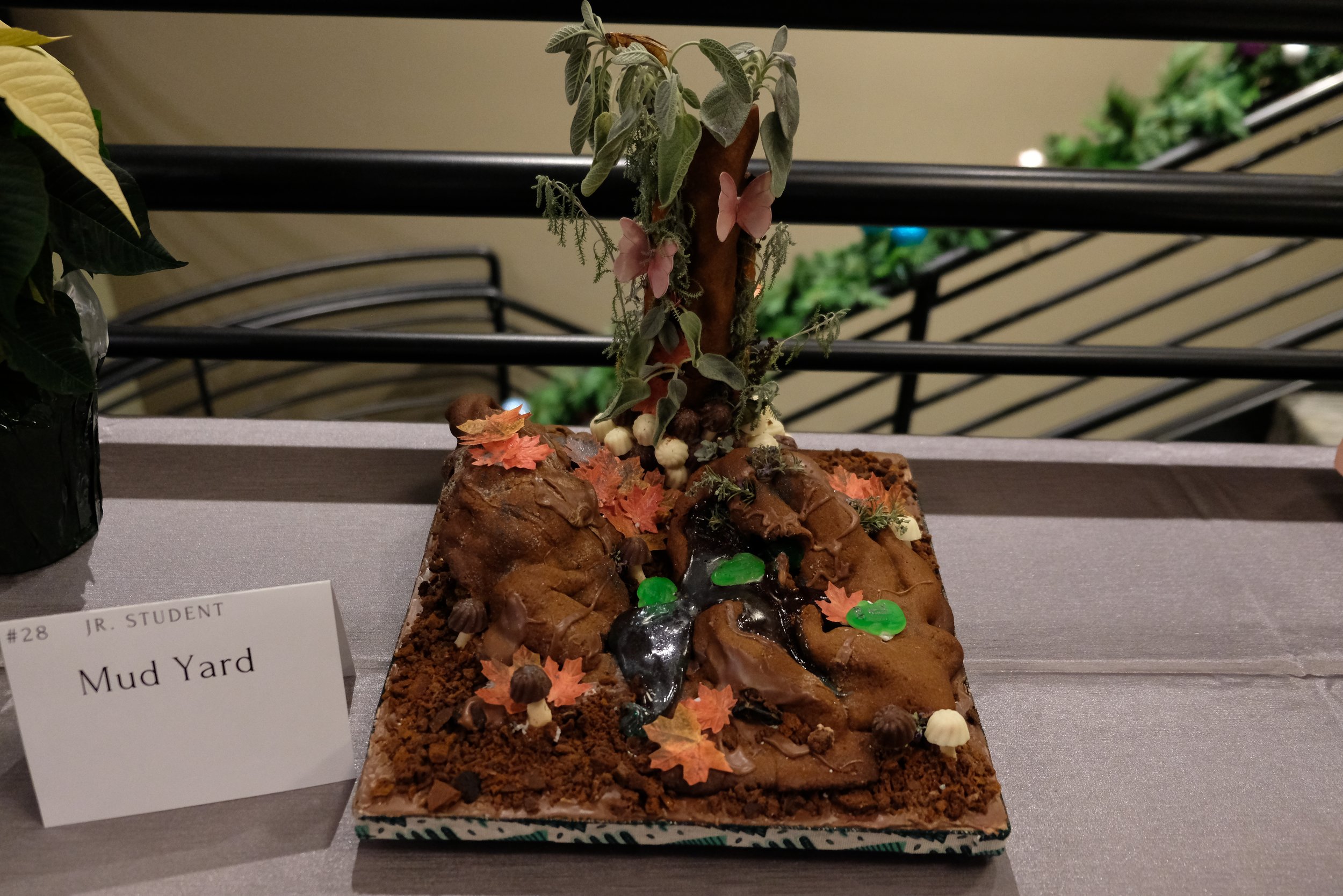 DSCF1385.JPG
