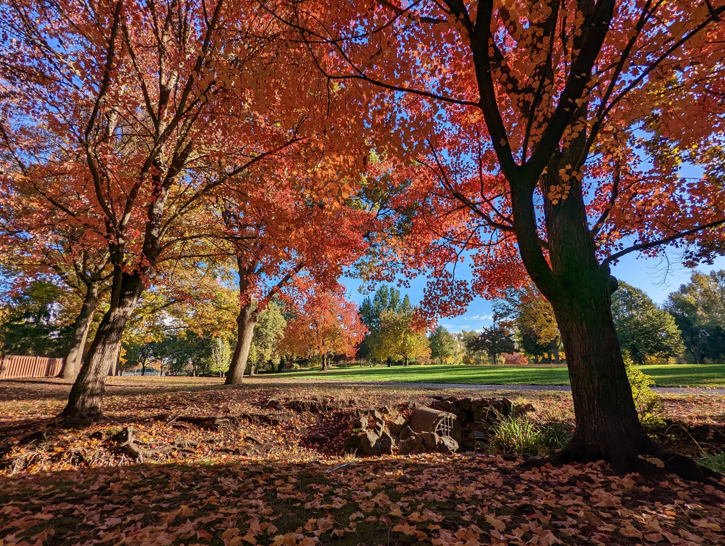 Bear Creek Park - Medford - What to do in Southern Oregon - Kid-Friendly (16).jpg