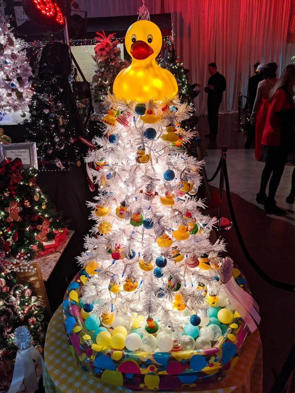 2019 Providence Festival of Trees Community Viewing