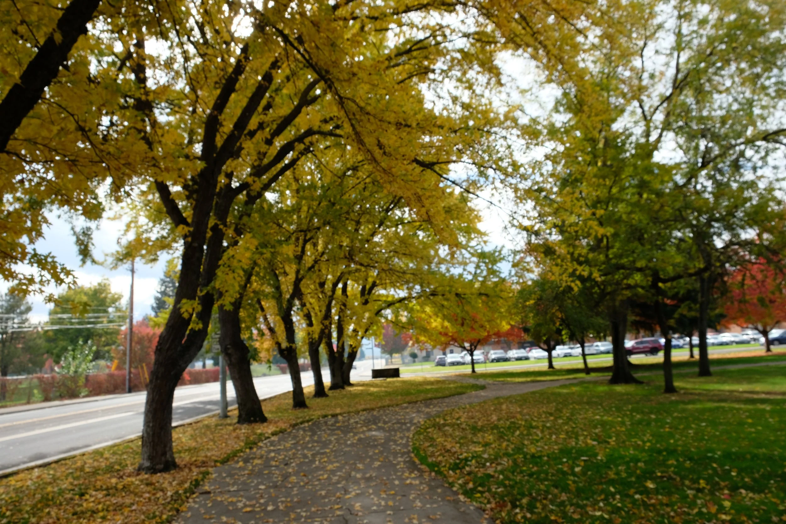 Fichtner Mainwaring Park - Medford - What to do in Southern Oregon -Kid-friendly - events - things to do (12).JPG