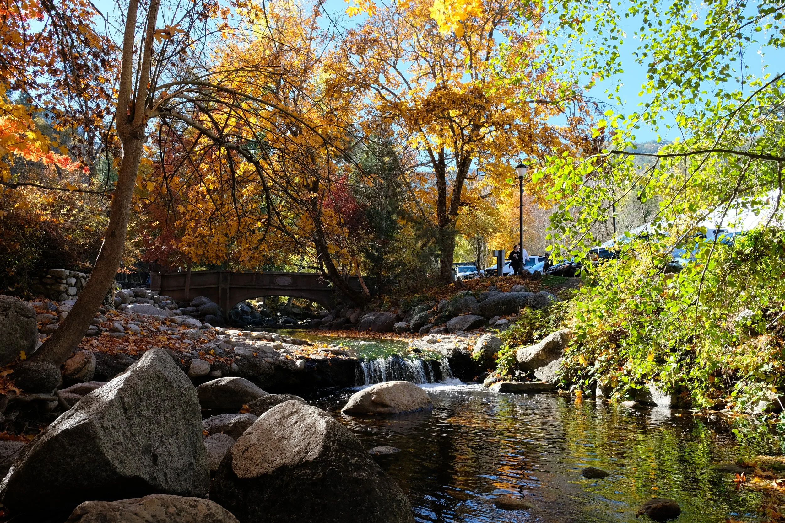 Lithia Park in the Fall - Ashland - What to do in Southern Oregon - things to do - kid-friendly (9).JPG