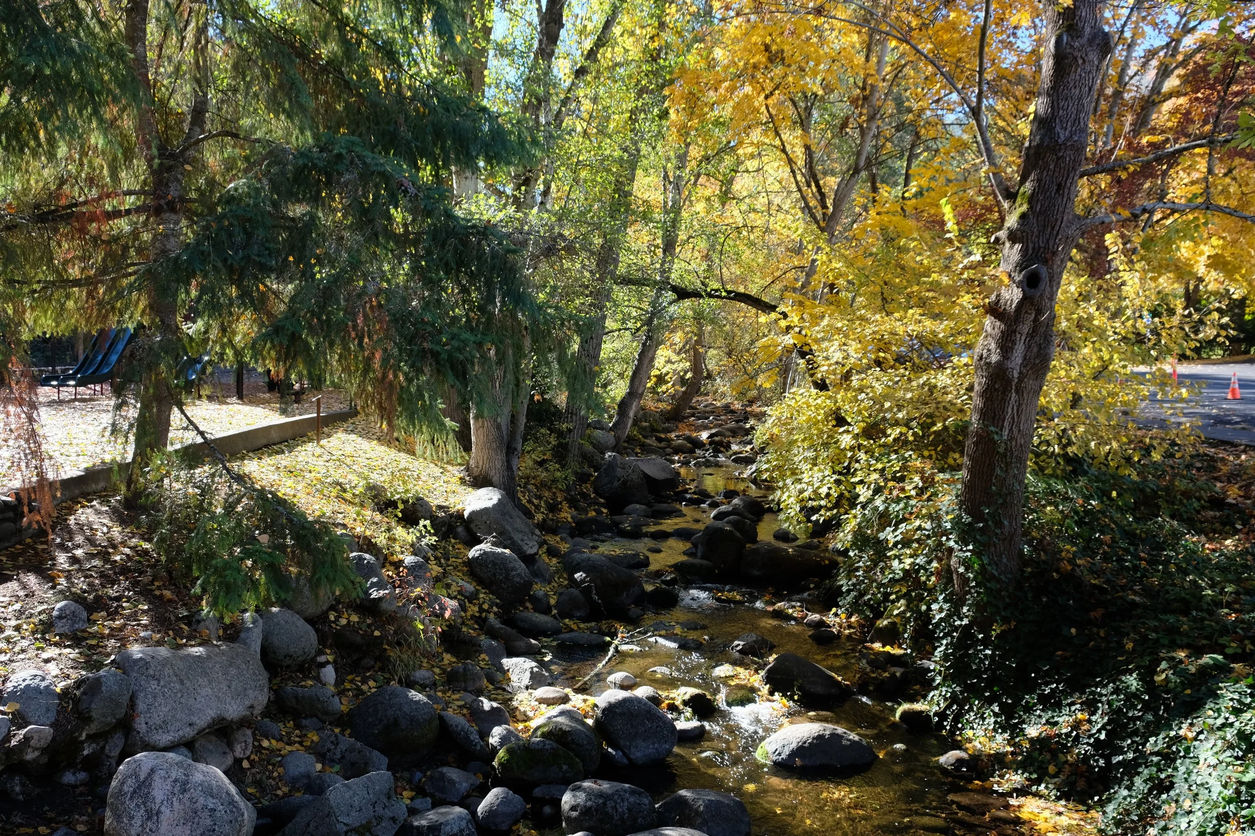 Lithia Park in the Fall - Ashland - What to do in Southern Oregon - things to do - kid-friendly (21).JPG