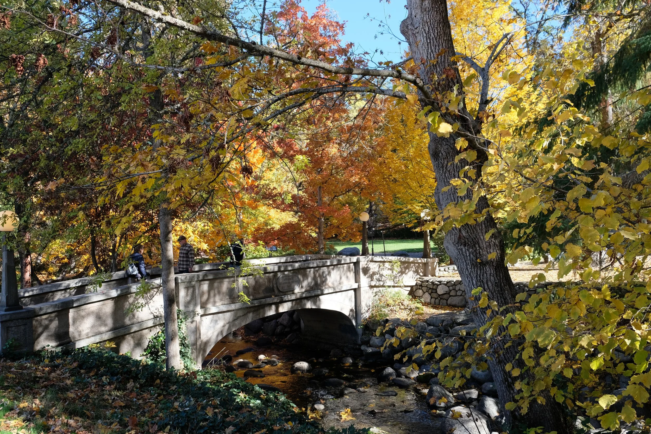 Lithia Park in the Fall - Ashland - What to do in Southern Oregon - things to do - kid-friendly (27).JPG