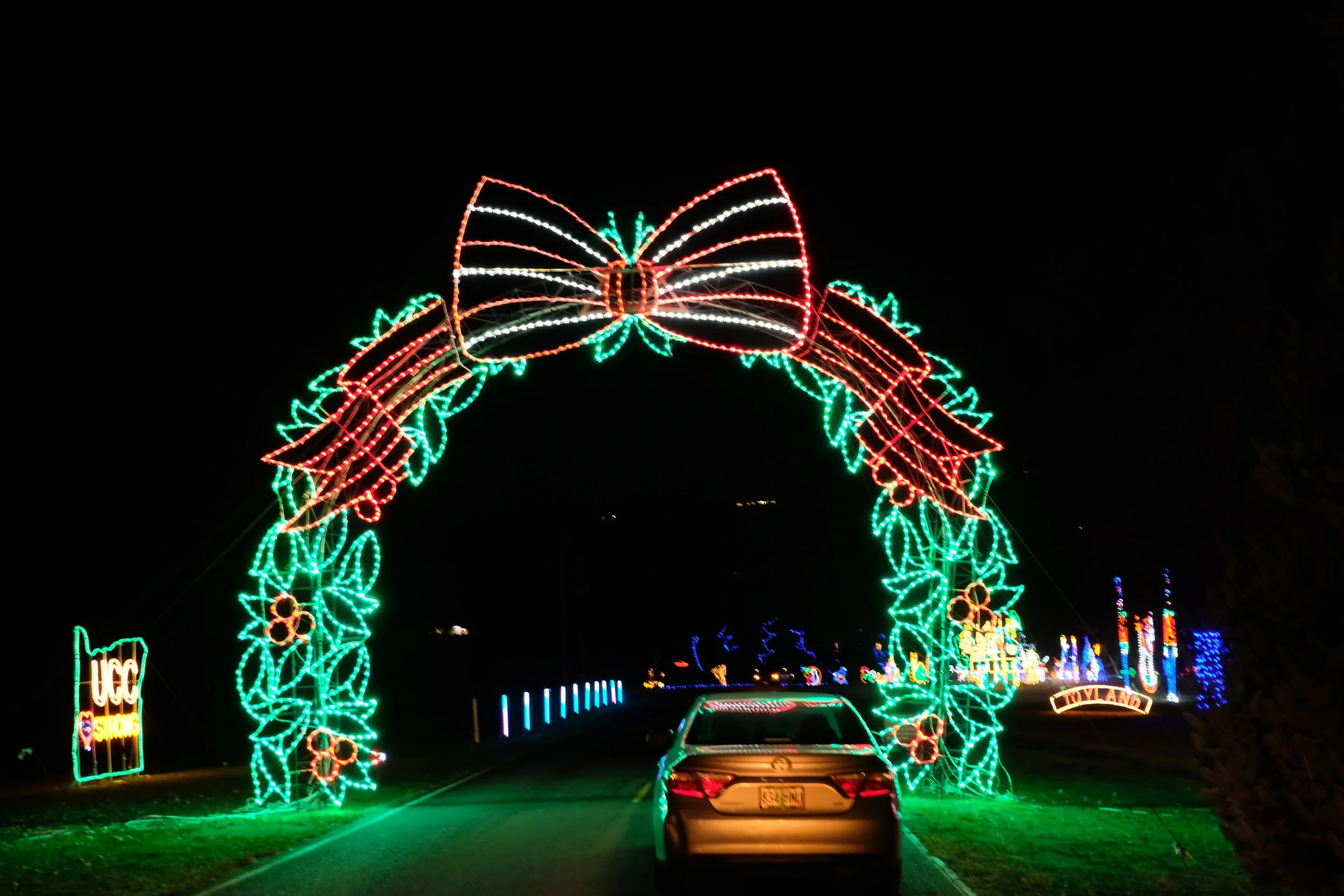 Umpqua Valley Festival of Light (4).JPG