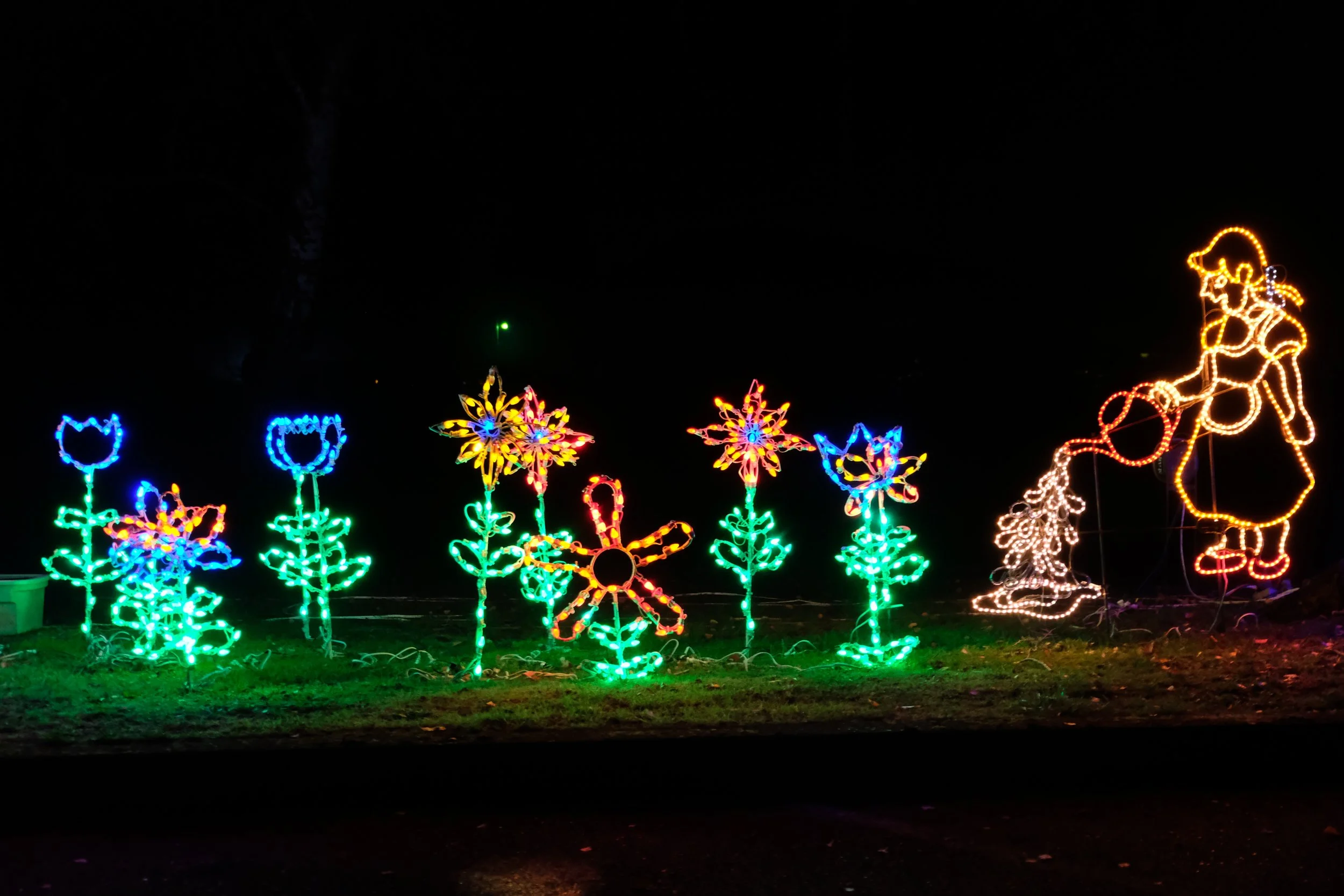 Umpqua Valley Festival of Light (6).JPG