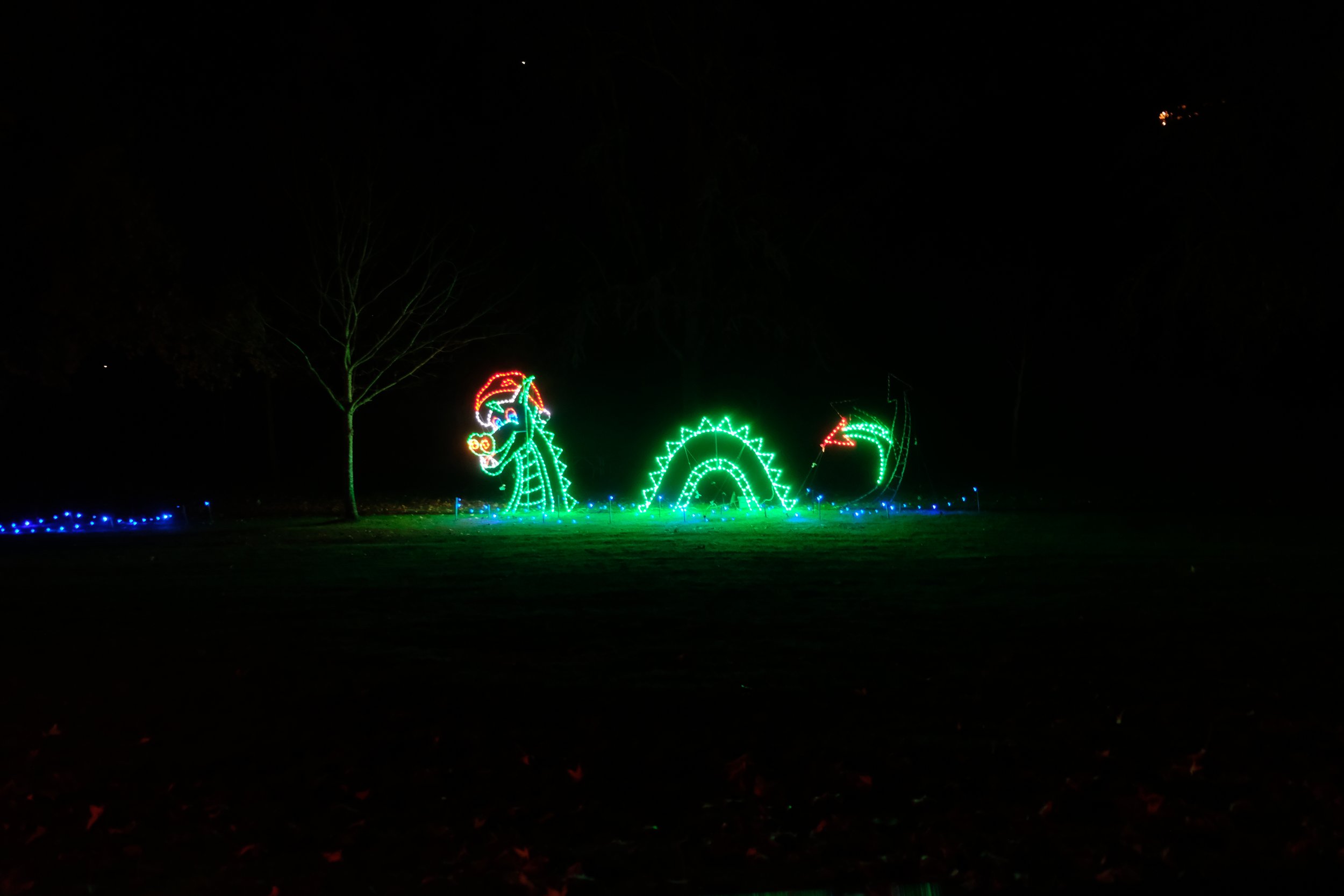 Umpqua Valley Festival of Light (11).JPG