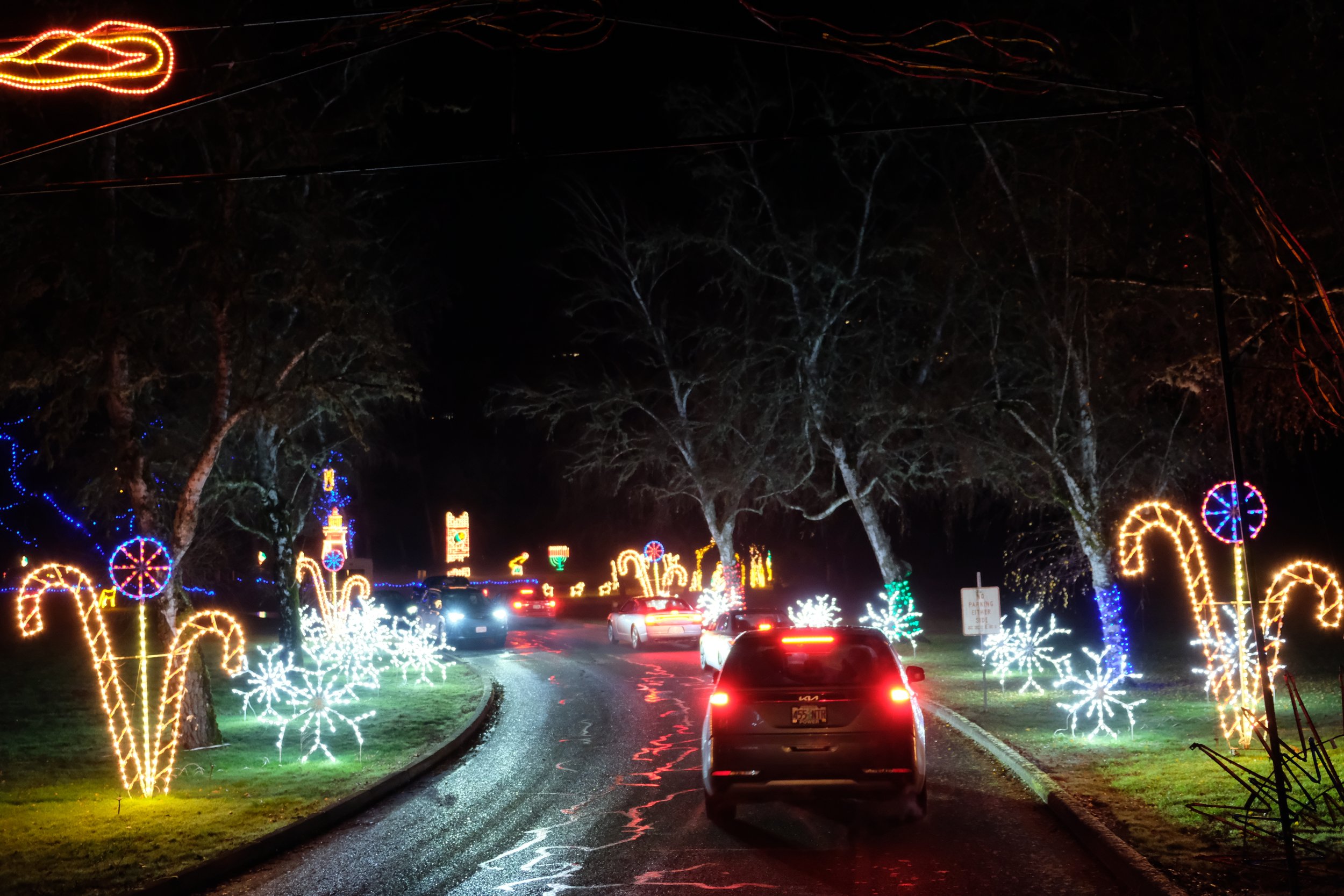 Umpqua Valley Festival of Light (13).JPG