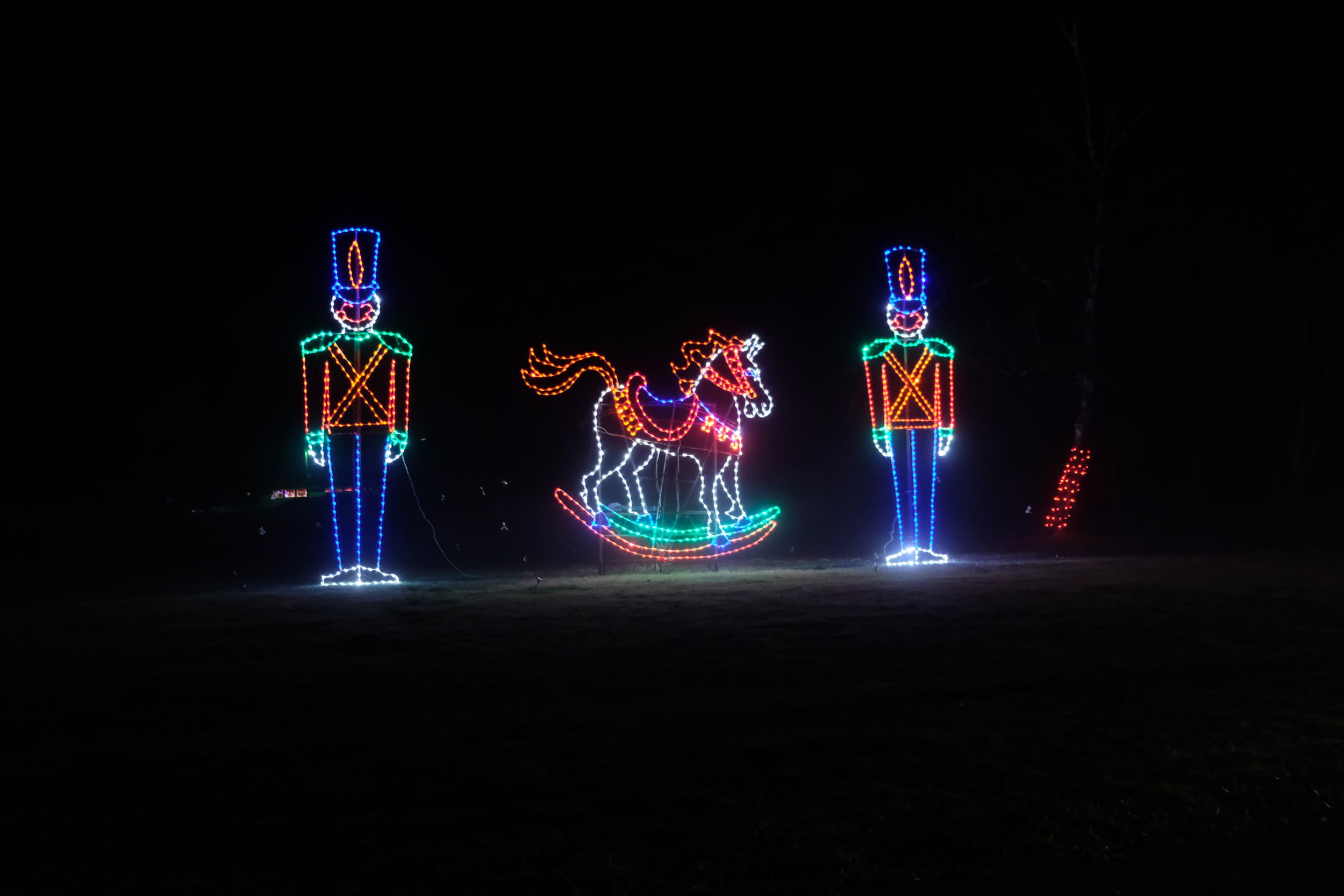 Umpqua Valley Festival of Light (18).JPG