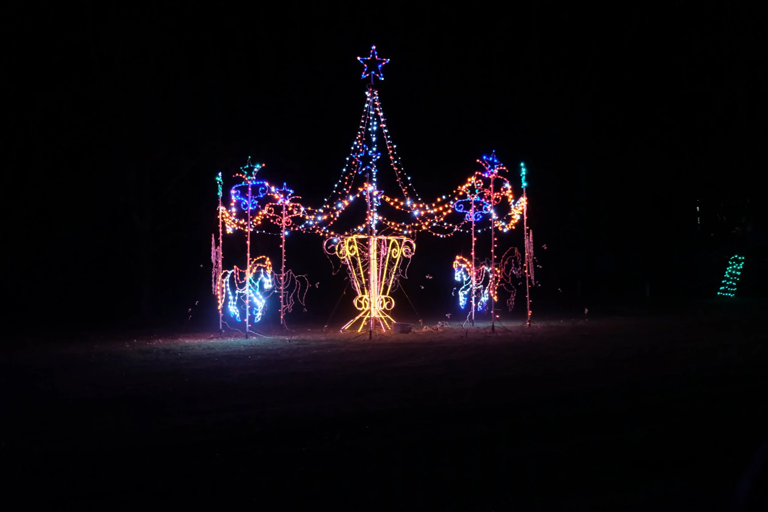 Umpqua Valley Festival of Light (19).JPG
