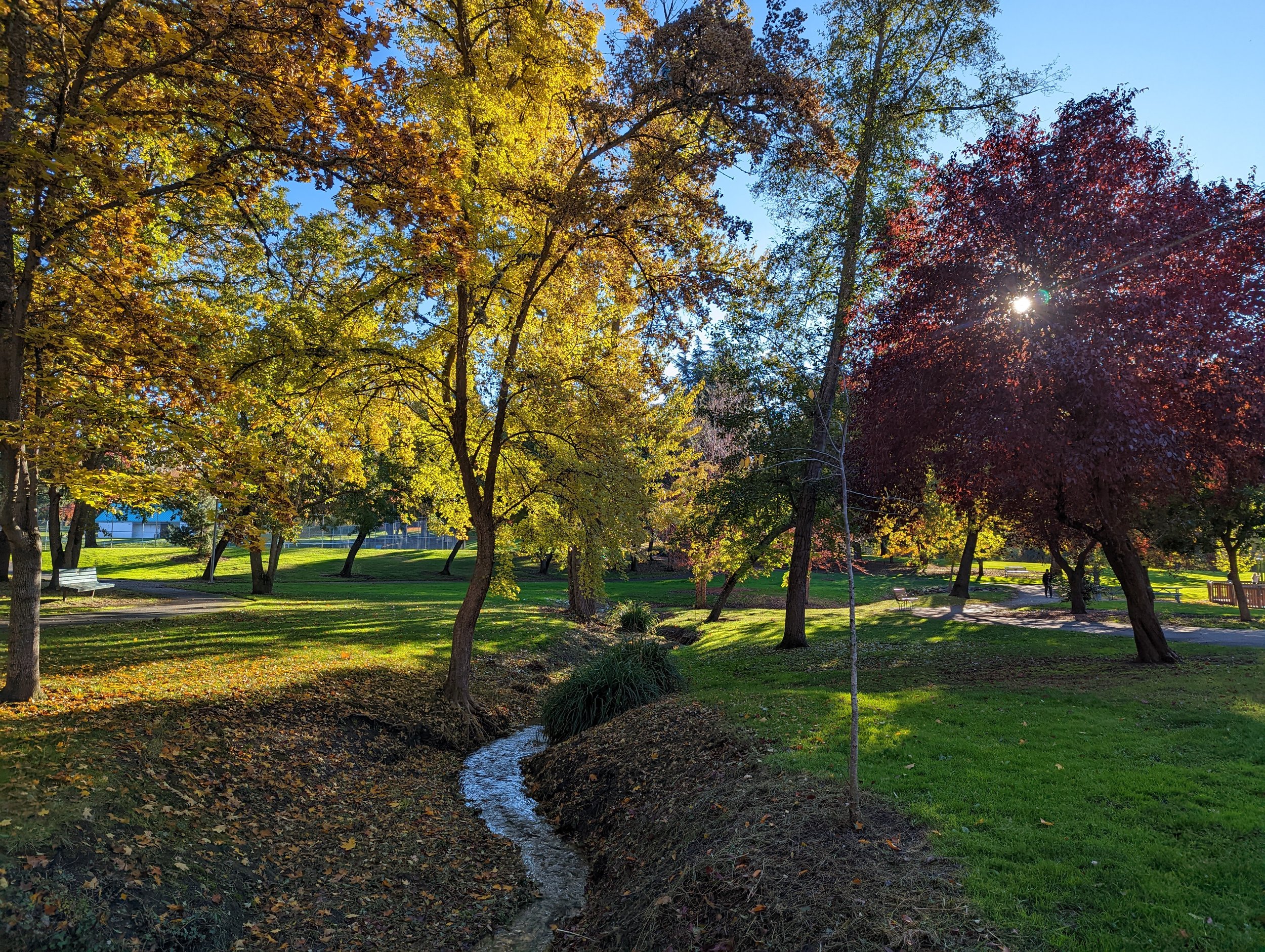 Bear Creek Park - Medford - What to do in Southern Oregon - Kid-Friendly (2).jpg