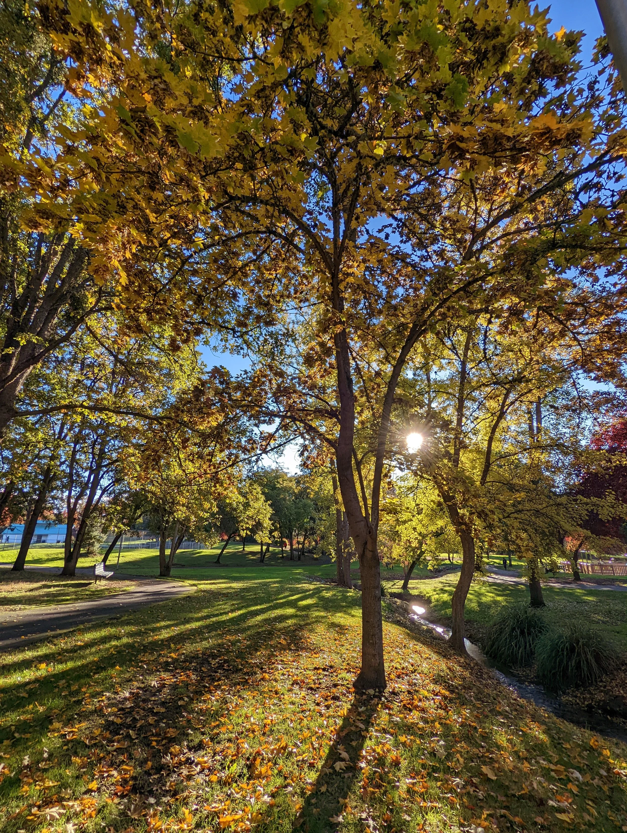 Bear Creek Park - Medford - What to do in Southern Oregon - Kid-Friendly (44).jpg