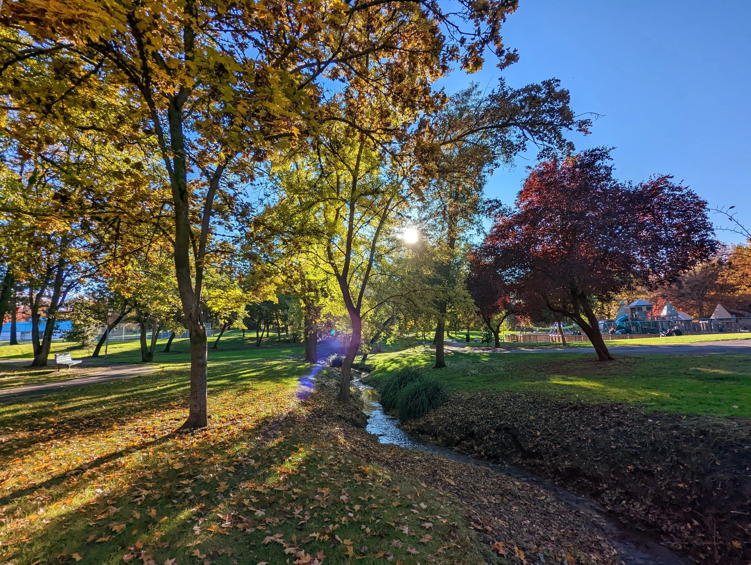 Bear Creek Park - Medford - What to do in Southern Oregon - Kid-Friendly (39).jpg