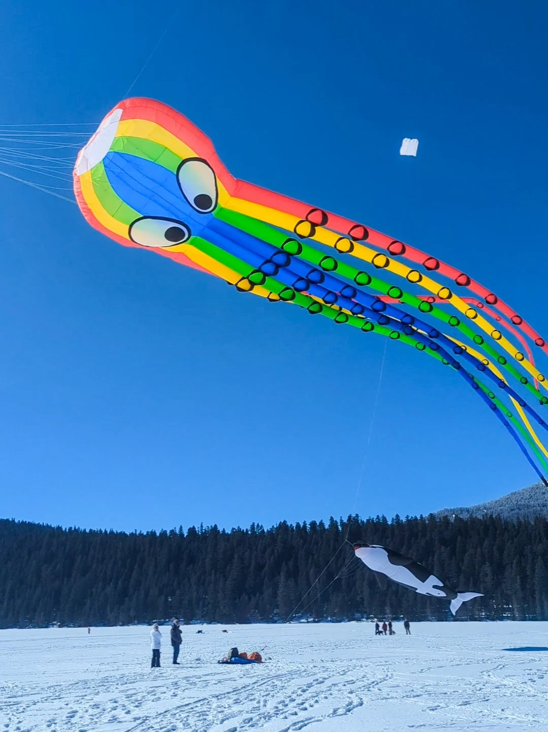 Lake of the Woods Kite Festival