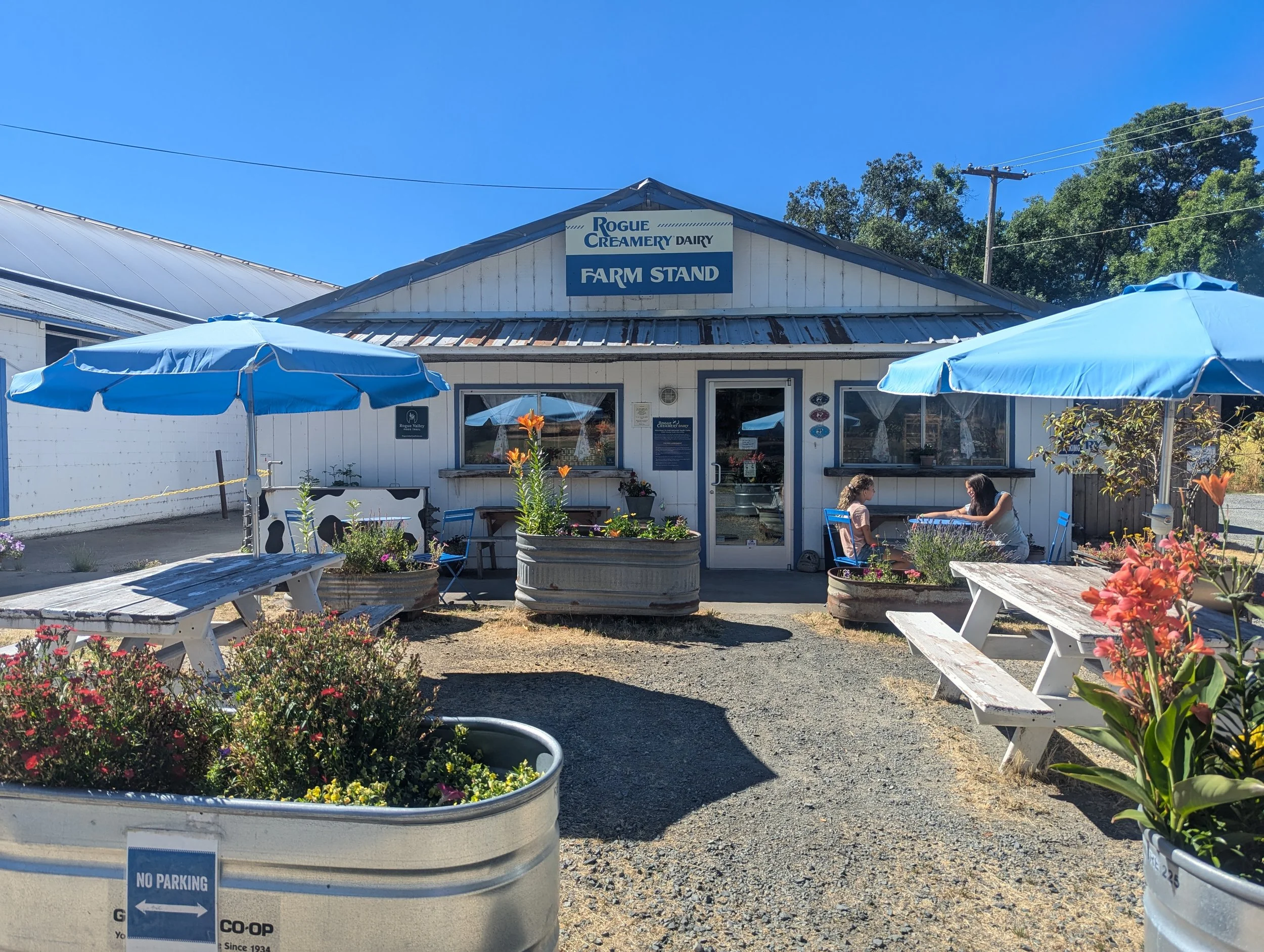 Rogue Creamery Dairy Farm - Grants Pass - What to do in Southern Oregon