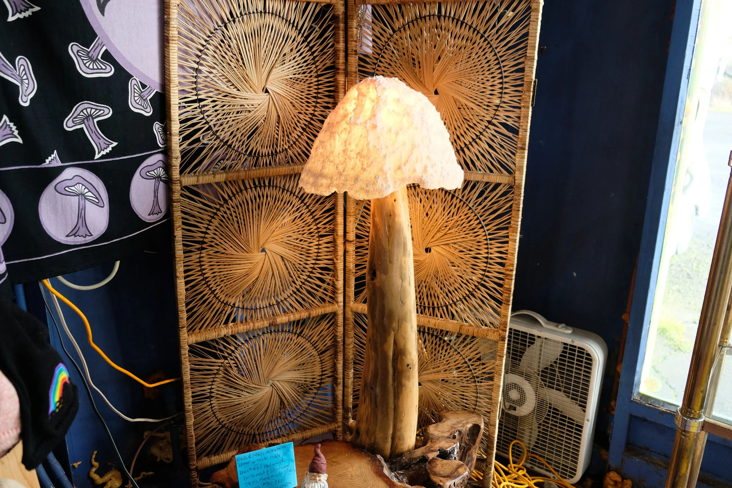 DSCF1881.JPG