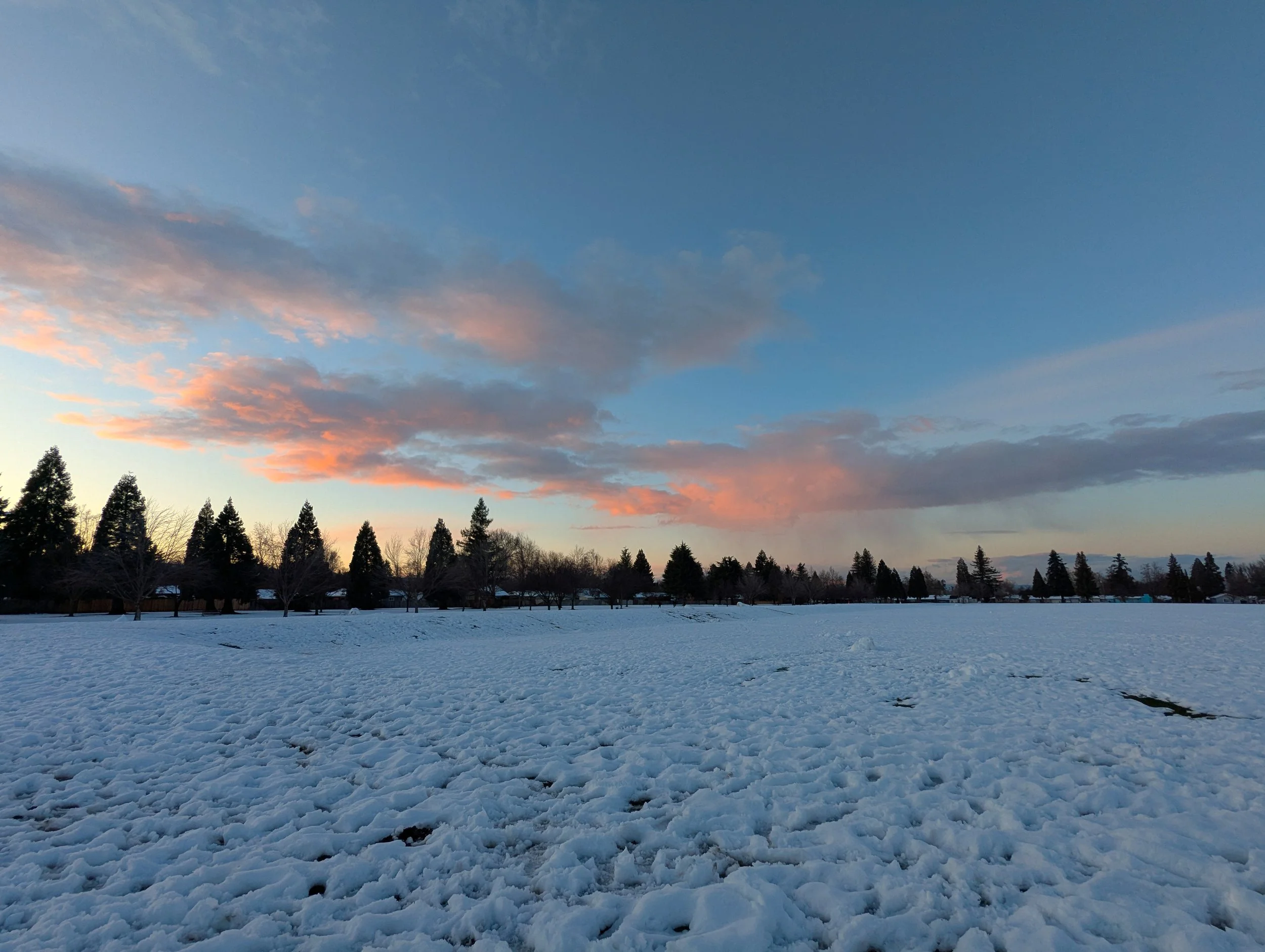 Winter at Fichtner Mainwaring Park - Medford - What to do in Southern Oregon (1).jpg