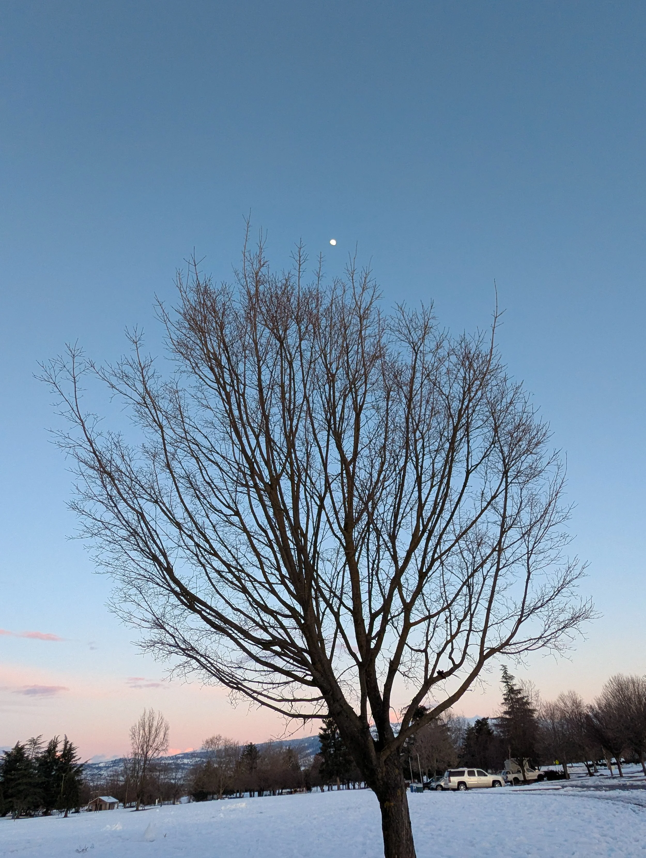 Winter at Fichtner Mainwaring Park - Medford - What to do in Southern Oregon (6).jpg
