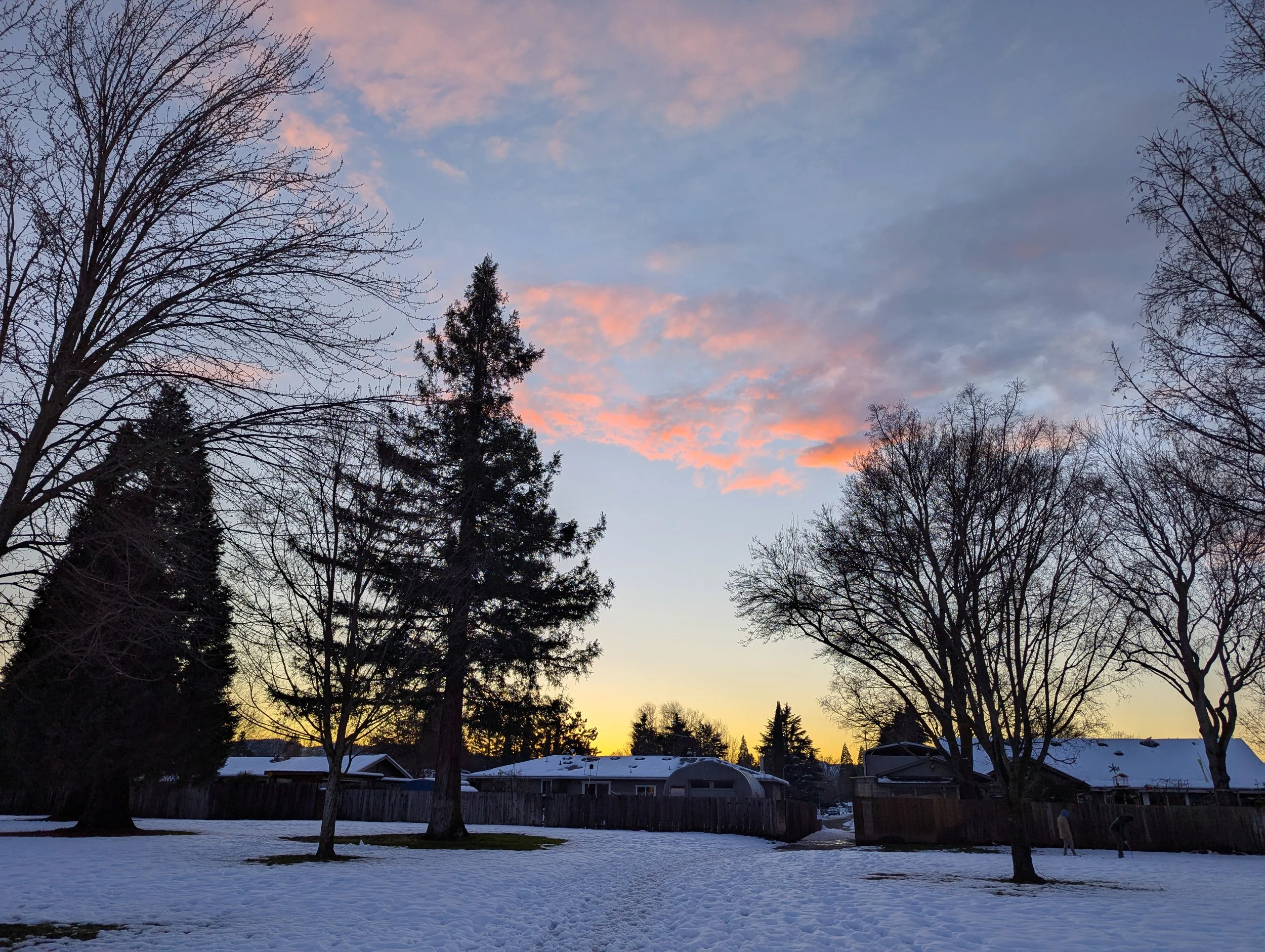 Winter at Fichtner Mainwaring Park - Medford - What to do in Southern Oregon (13).jpg