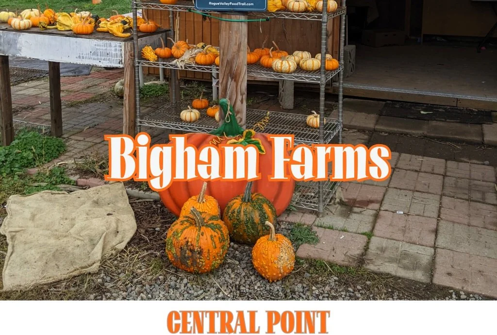 Bigham Farms Pumpkin Patch