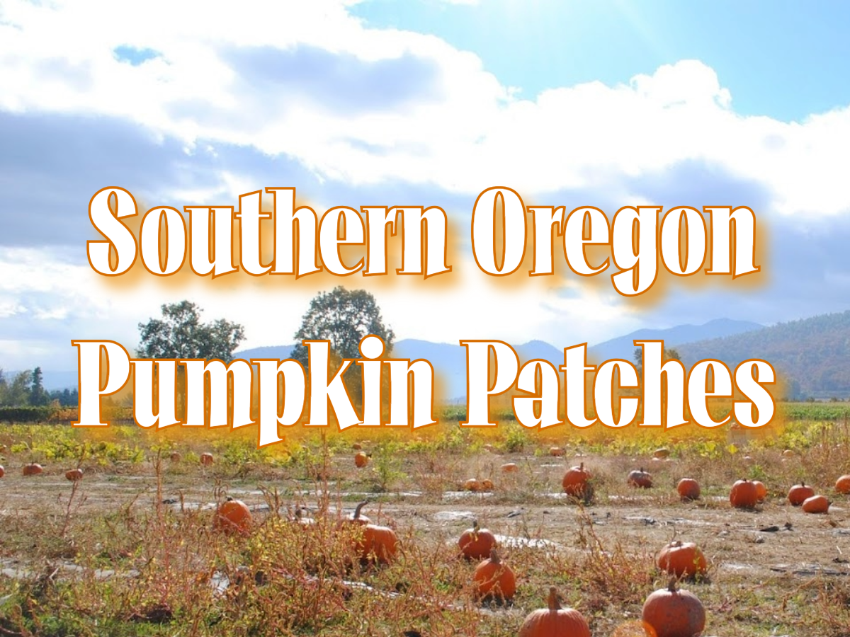 Pumpkin Patches.png (Copy)