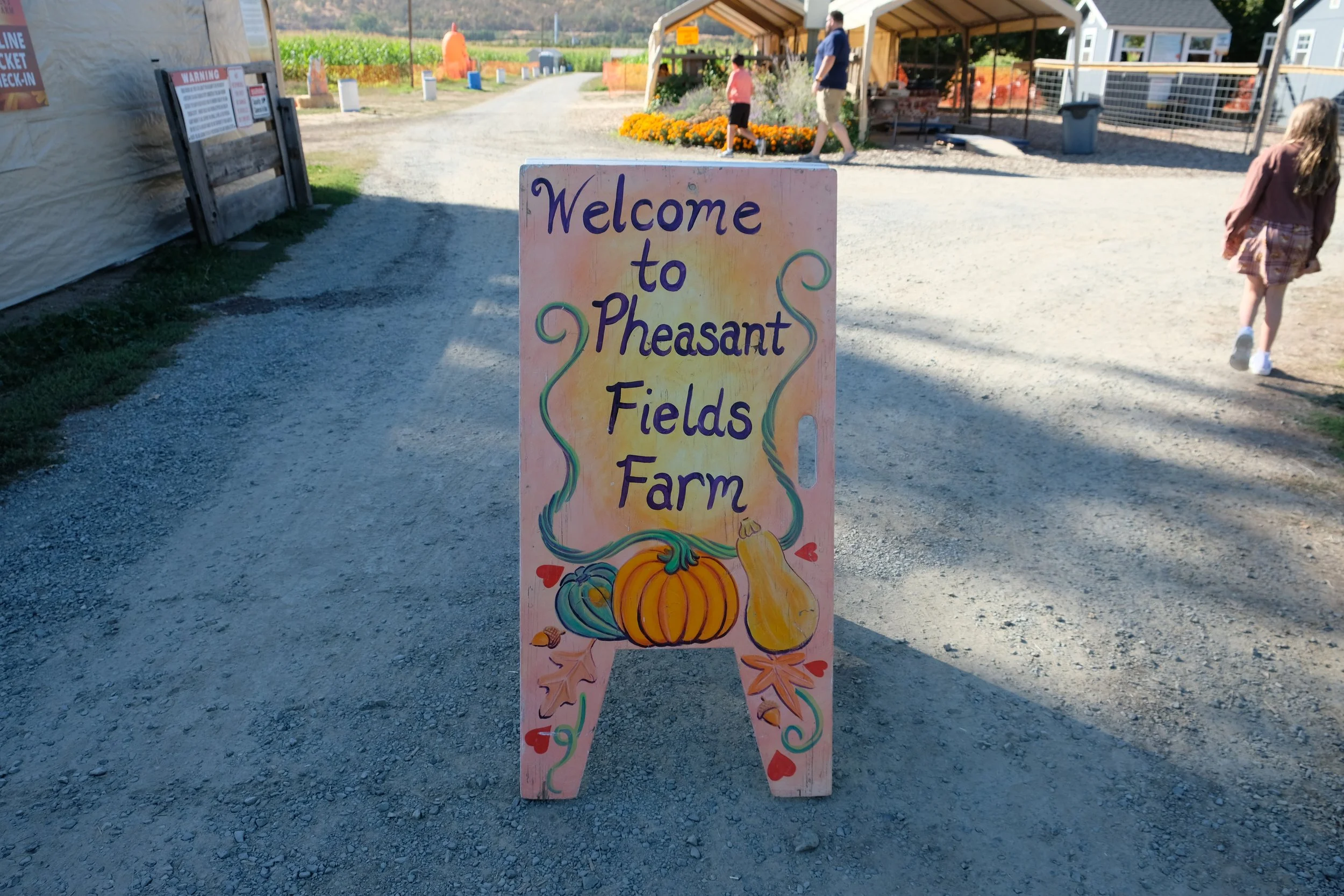 Pheasant Fields Farm