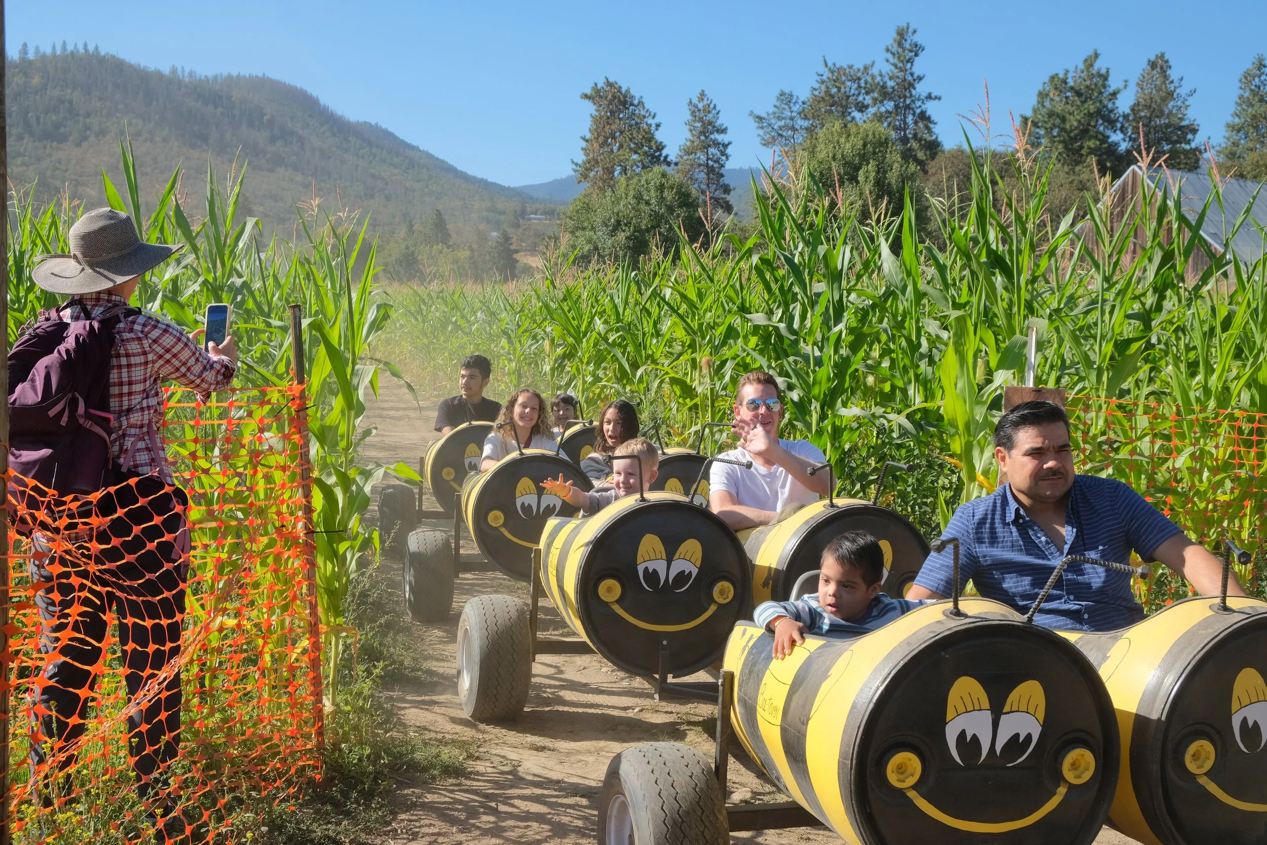 Pheasant Fields Farm Bee Train