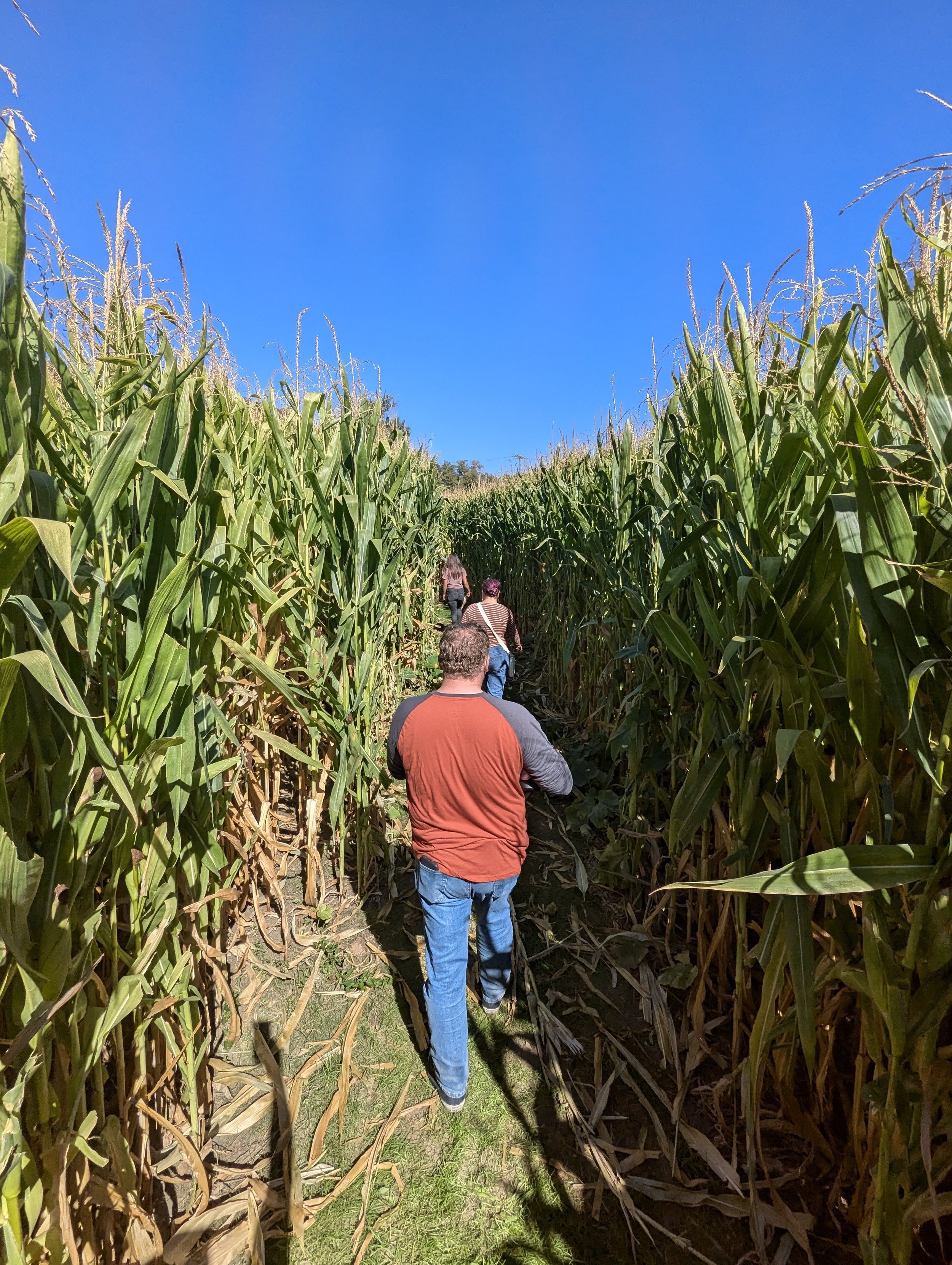Fort Vannoy Farms Corn Maze