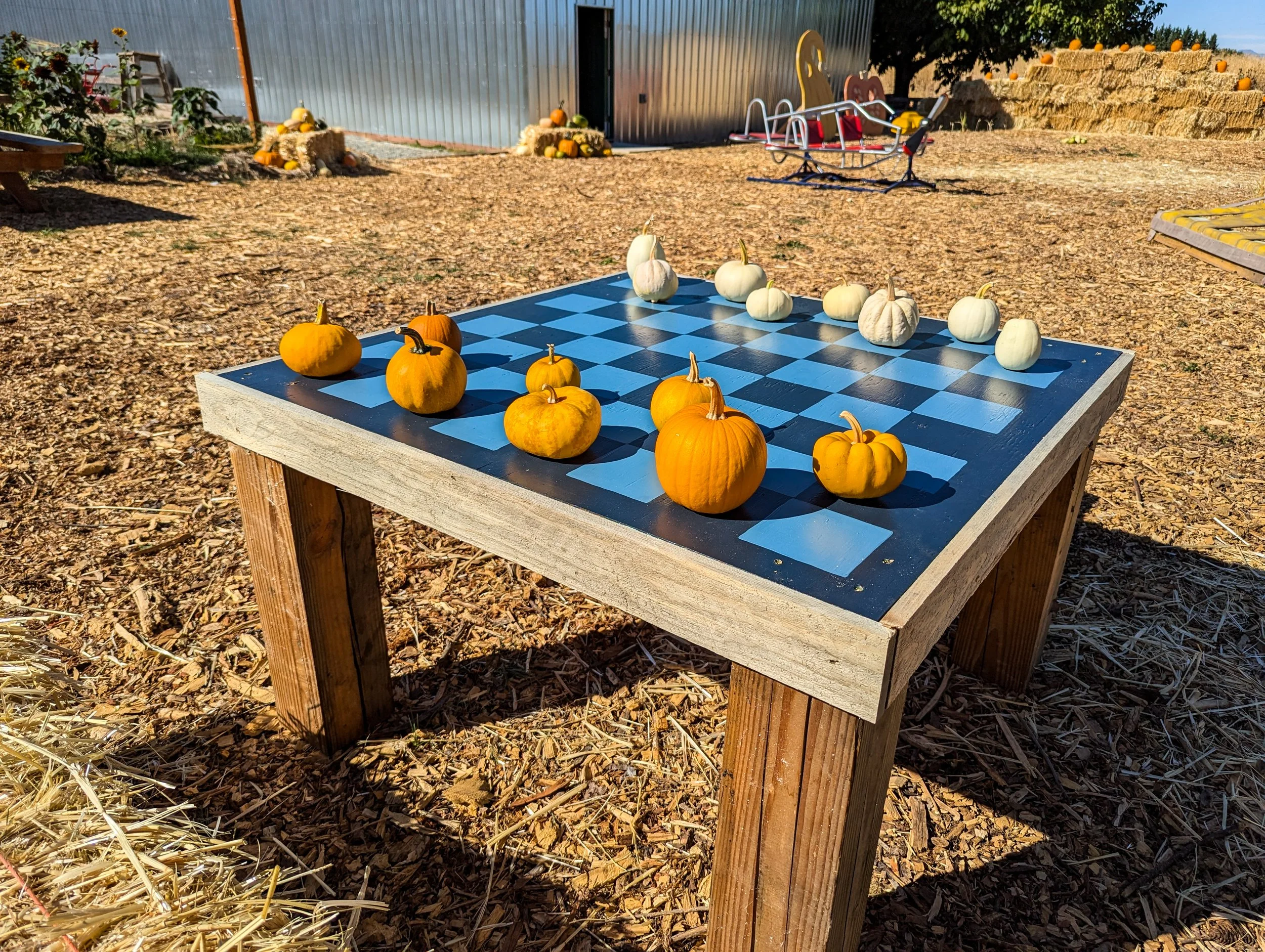 Evers Ridge Pumpkin Patch - Medford - What to do in Southern Oregon - Fall (1).jpg