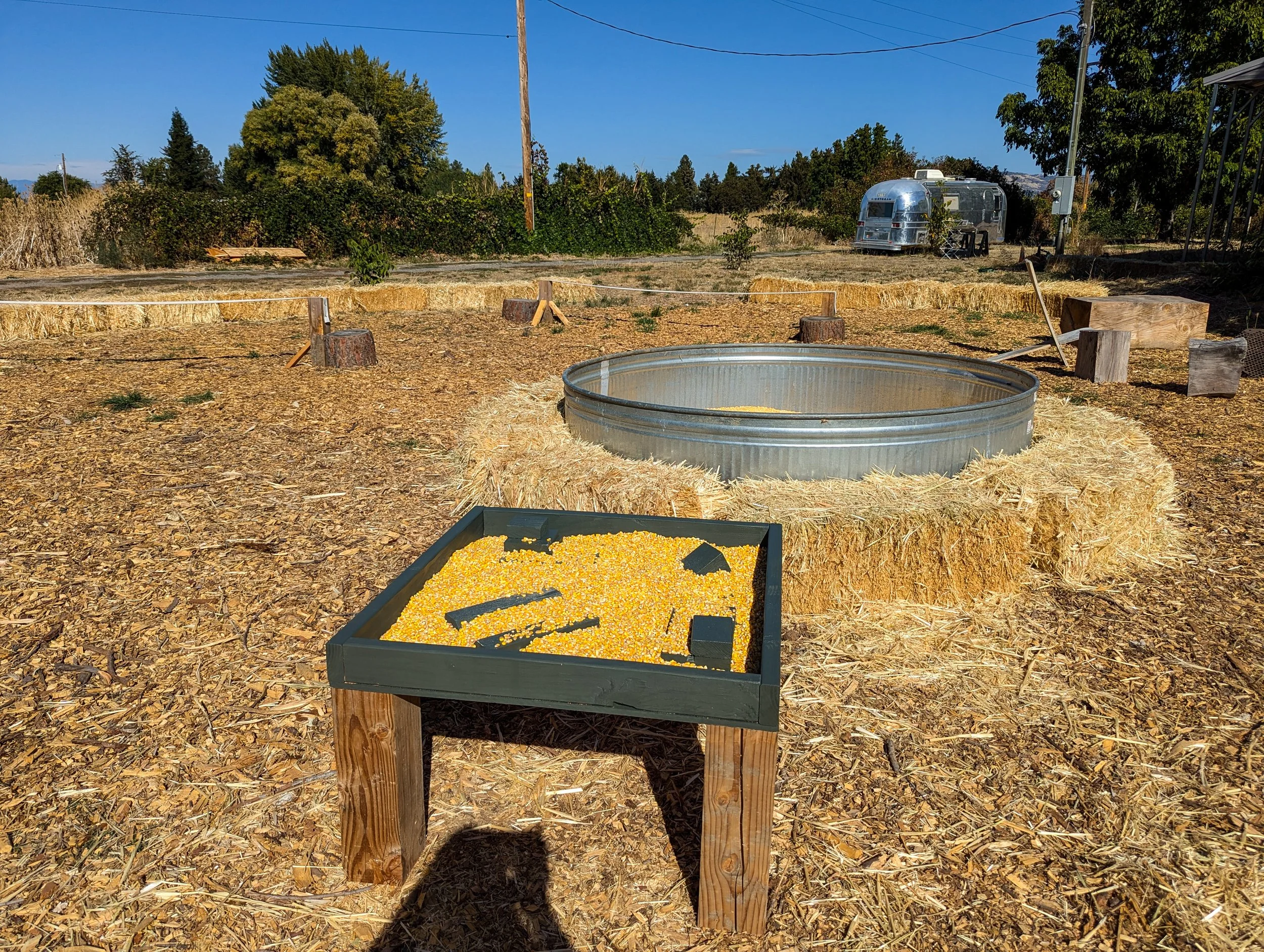 Evers Ridge Pumpkin Patch - Medford - What to do in Southern Oregon - Fall (5).jpg