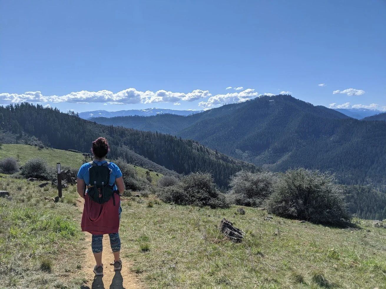 East Applegate Ridge Trail.jpg