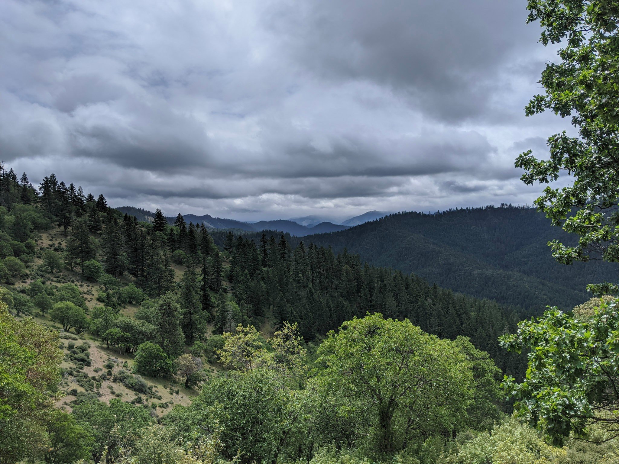 East Applegate Ridge Trail - Hiking in Southern Oregon - Jacksonville - What to do - Outdoor Adventures (61).jpg