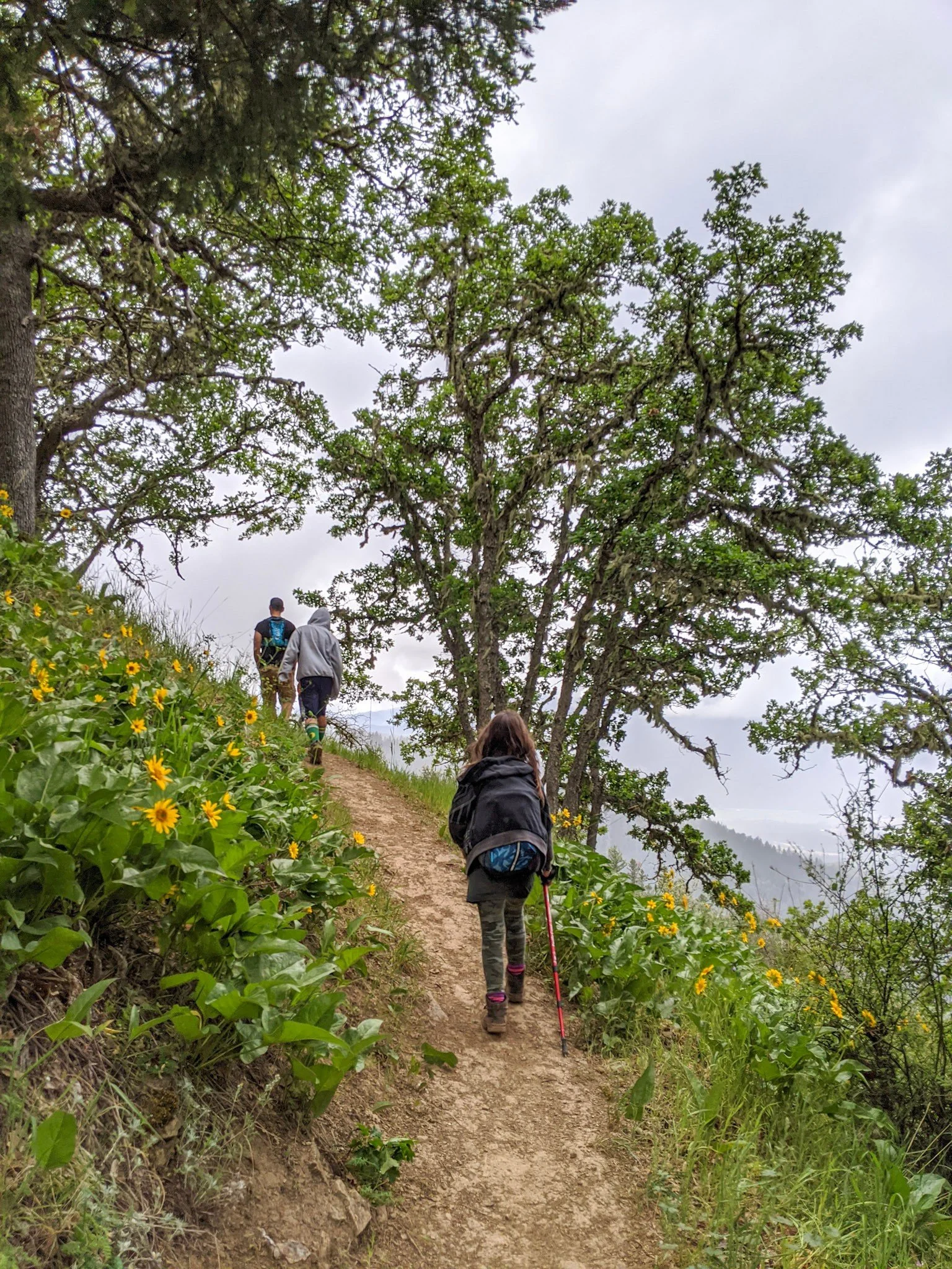 East Applegate Ridge Trail - Hiking in Southern Oregon - Jacksonville - What to do - Outdoor Adventures (87).jpg