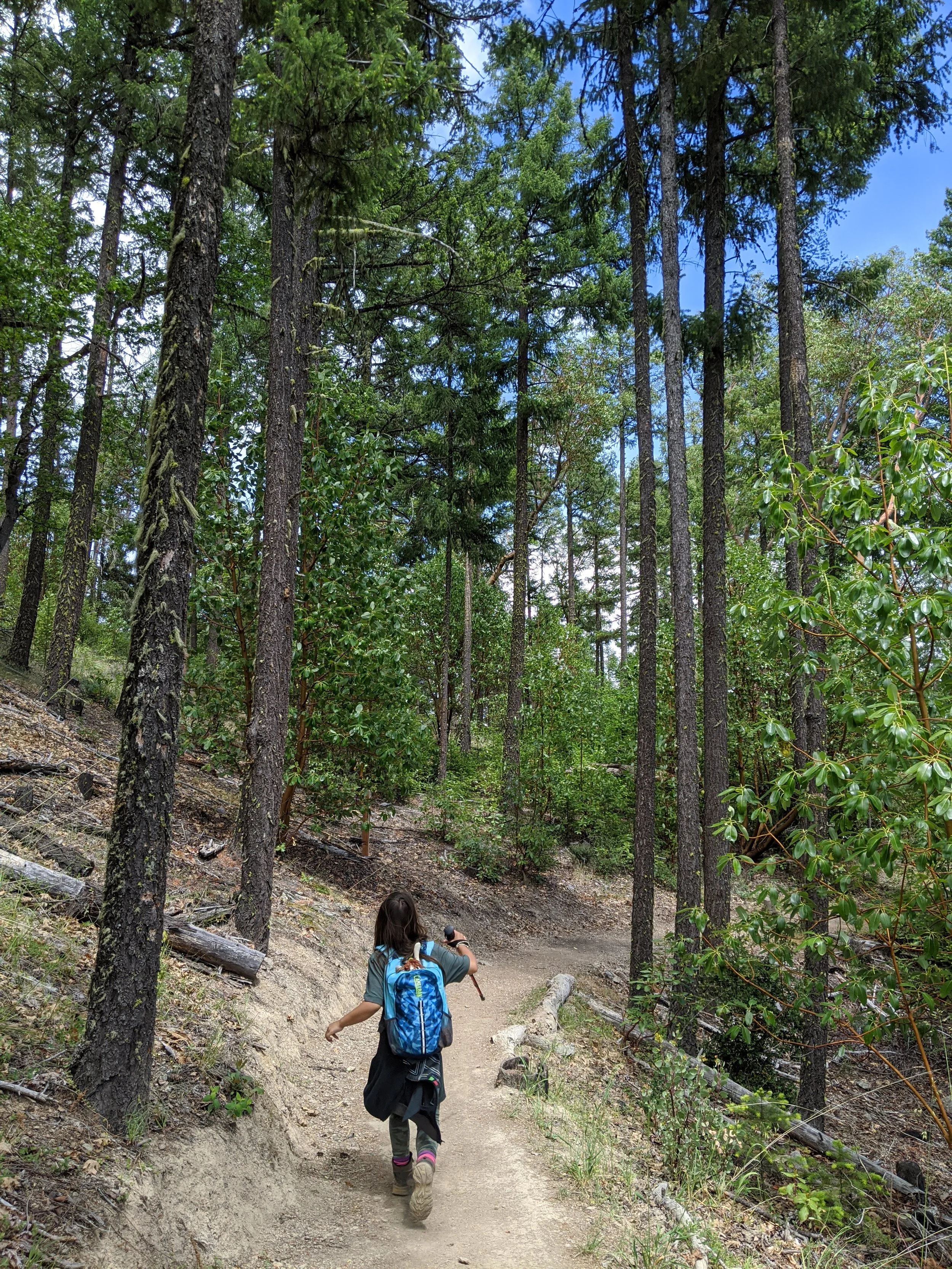 East Applegate Ridge Trail - Hiking in Southern Oregon - Jacksonville - What to do - Outdoor Adventures (139).jpg
