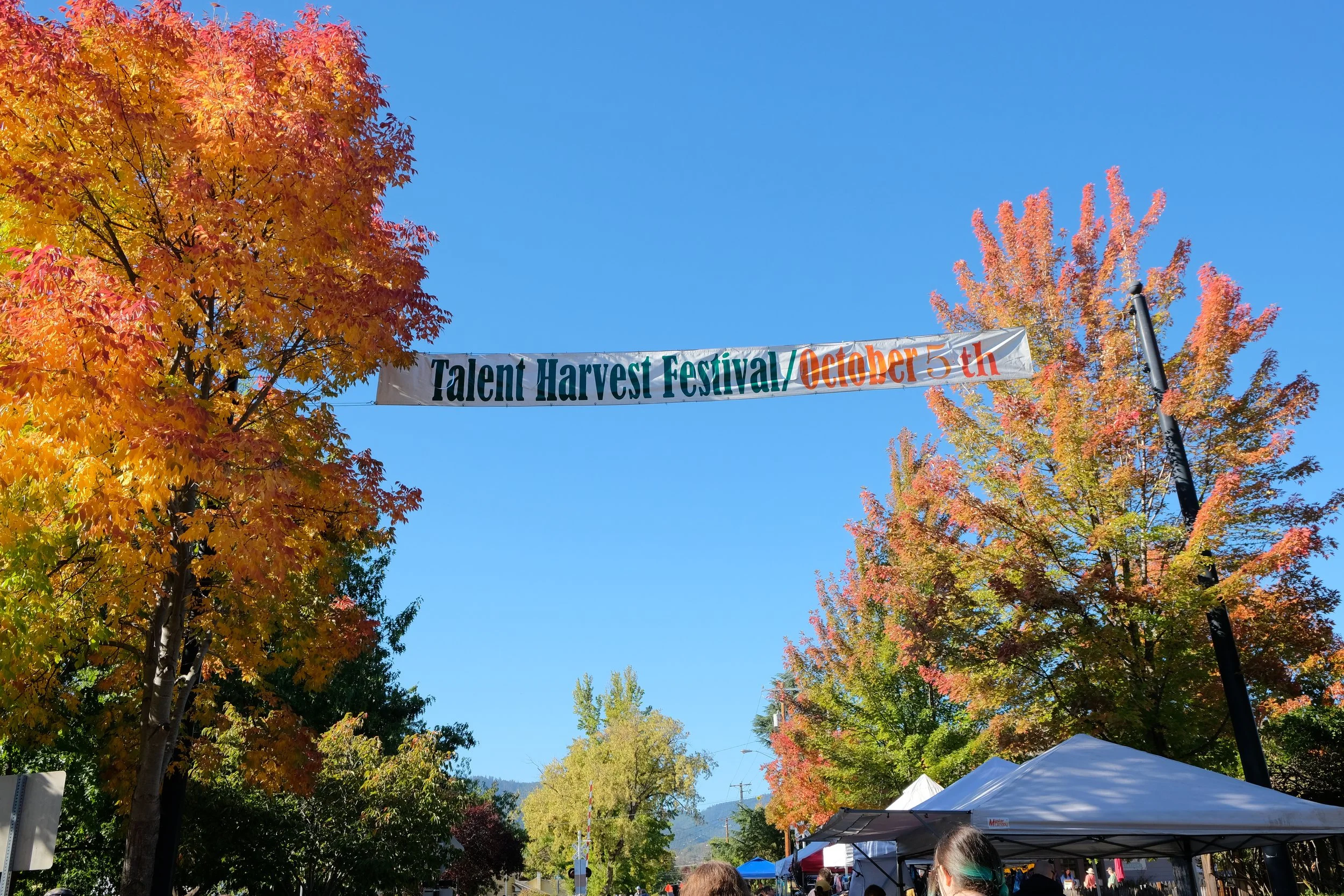 Talent Harvest Festival - What to do in Southern Oregon - Things to do in the fall - October (Copy)