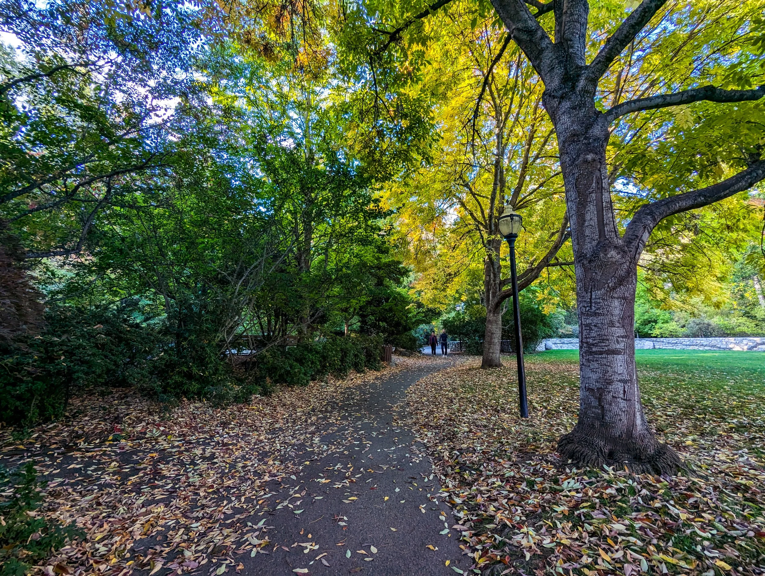 PXL_20241010_160939680 (2).jpg