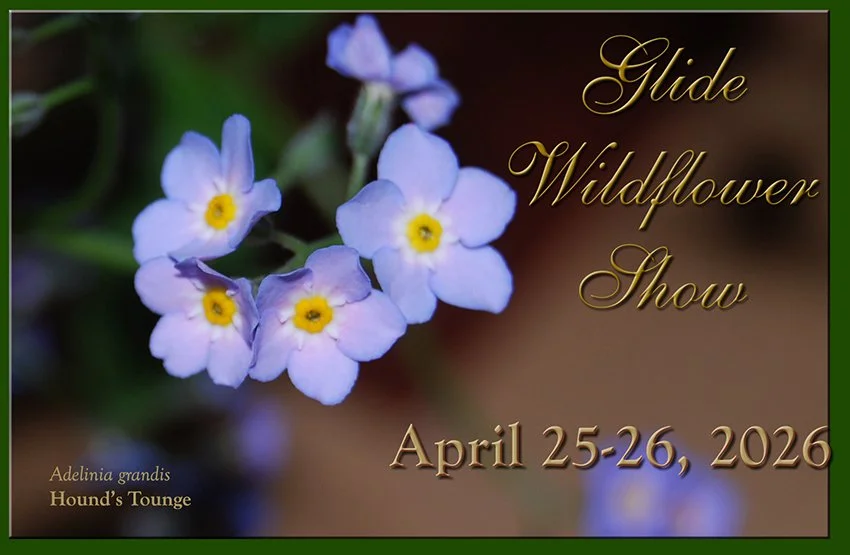 2026 Glide Wildflower Show