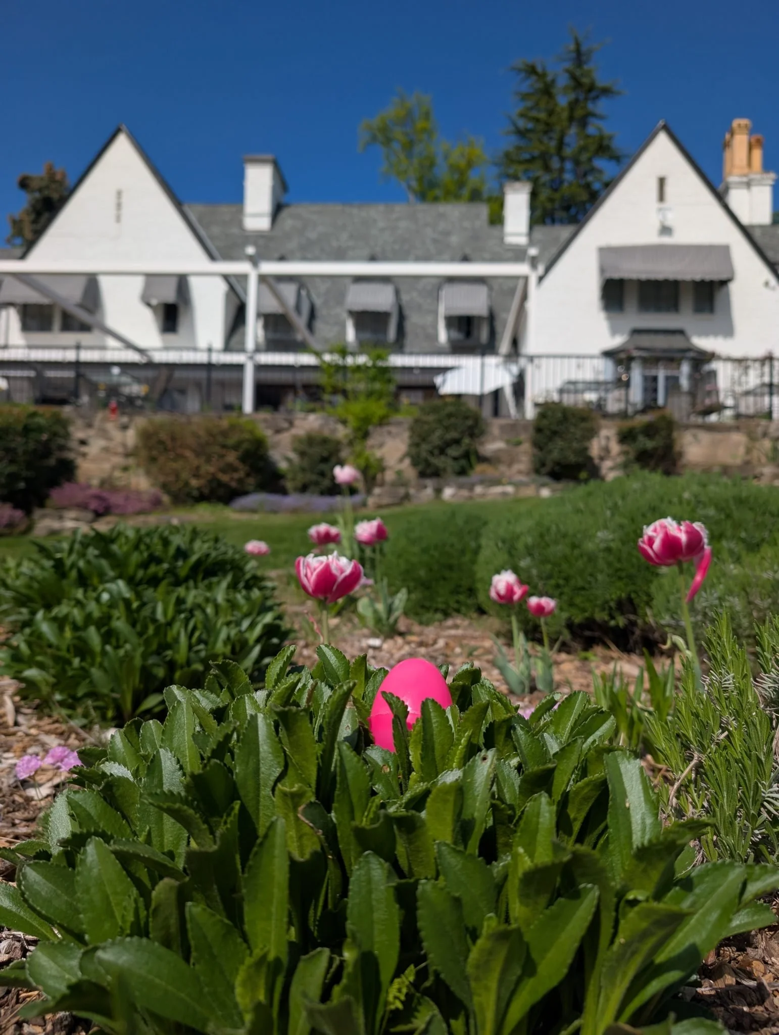 Hummingbird Estate Adults Only Easter Egg Hunt