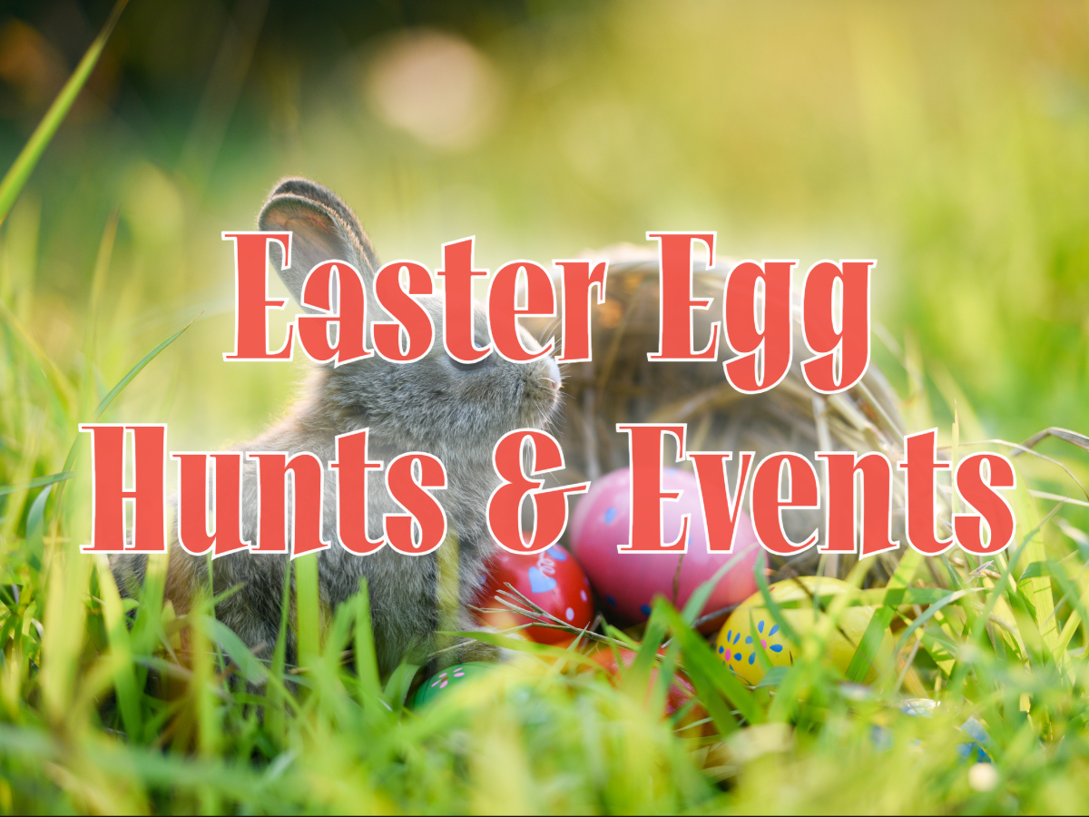 Children's Museum of Klamath Falls - Meet the Easter Bunny